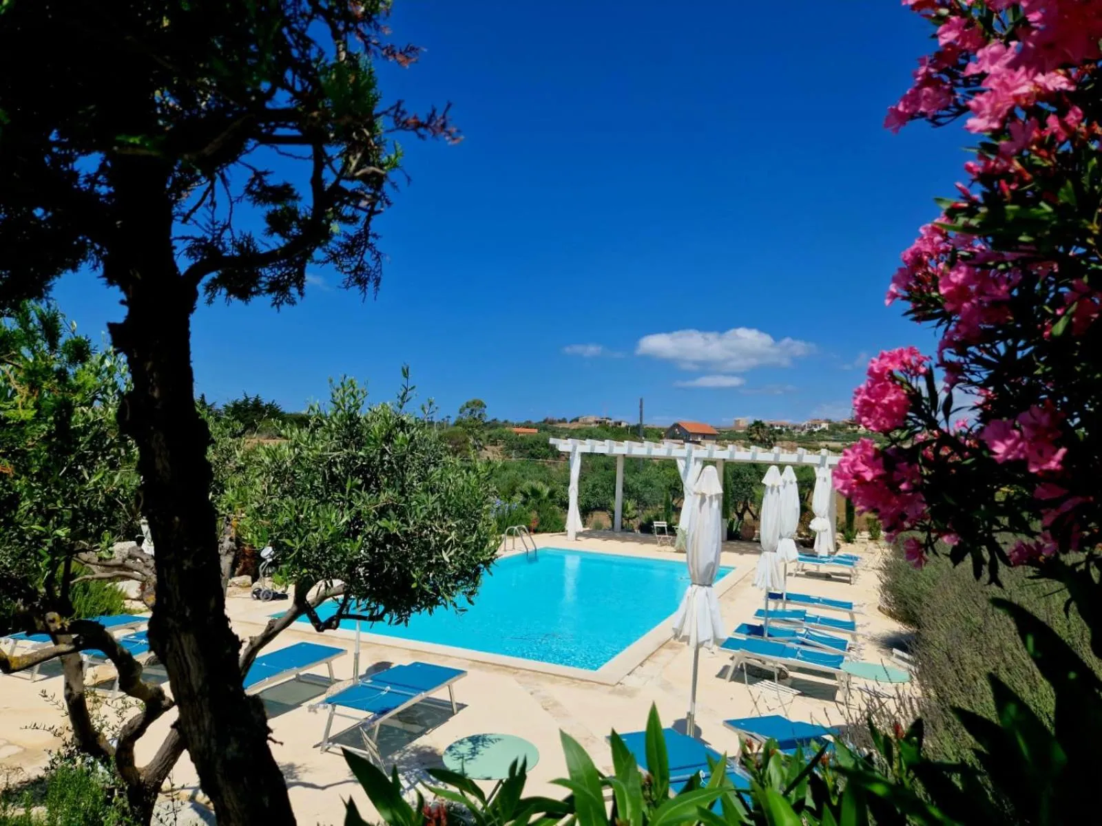 Garden in Casa California