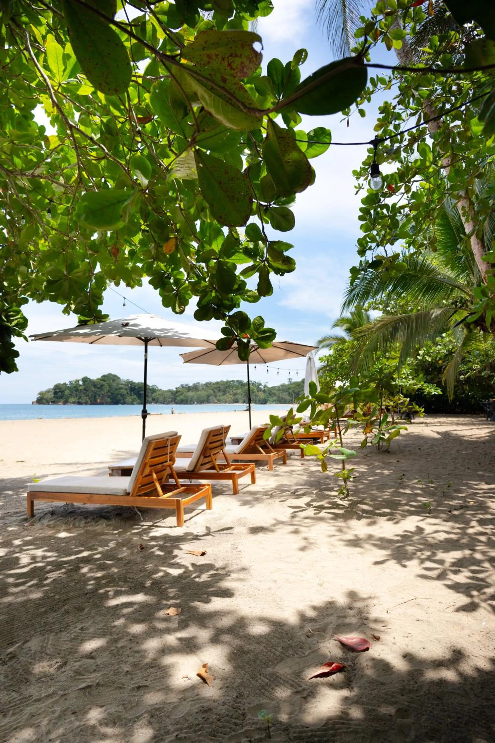 Beach in awā Beachfront Hotel