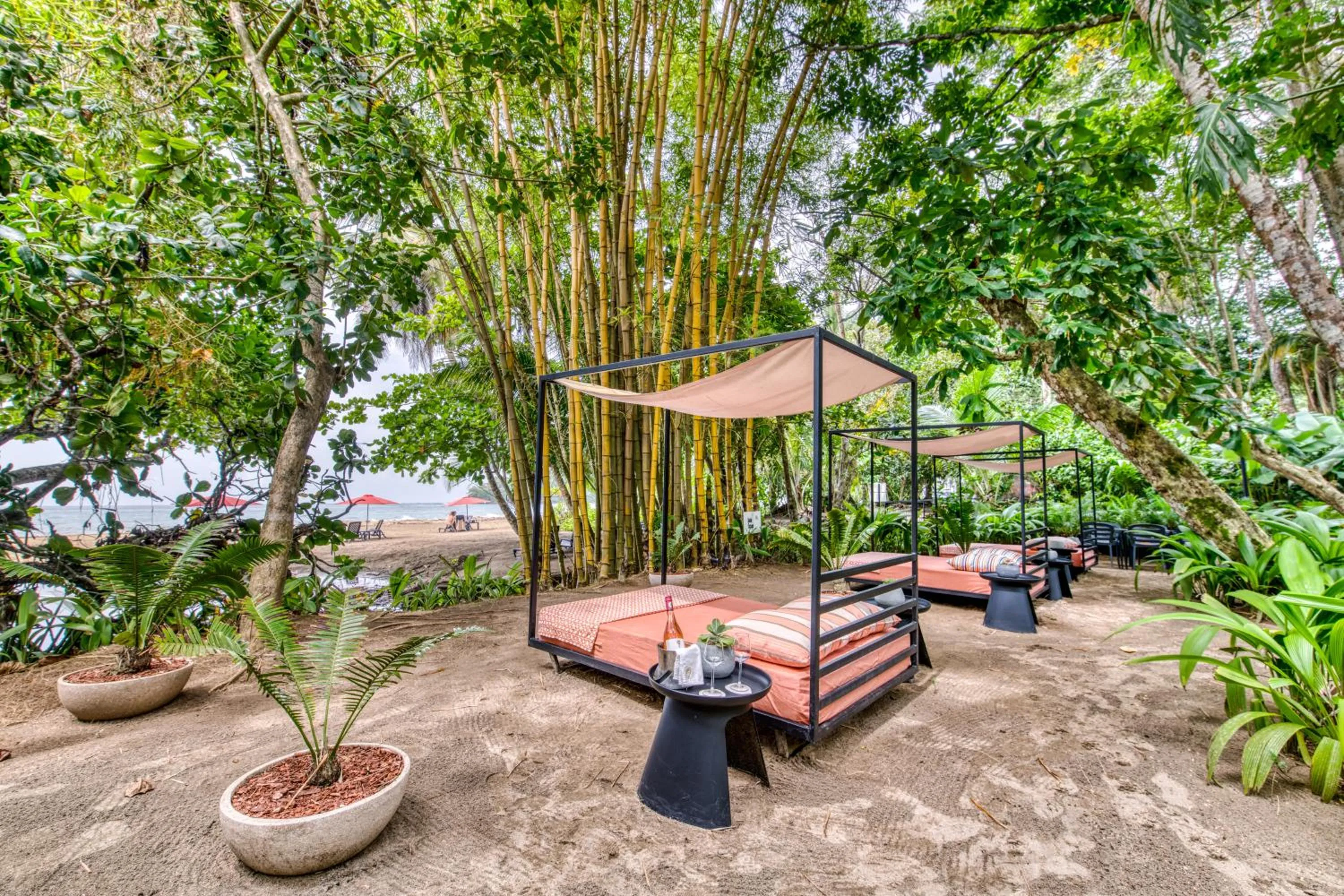 Garden in awā Beachfront Hotel