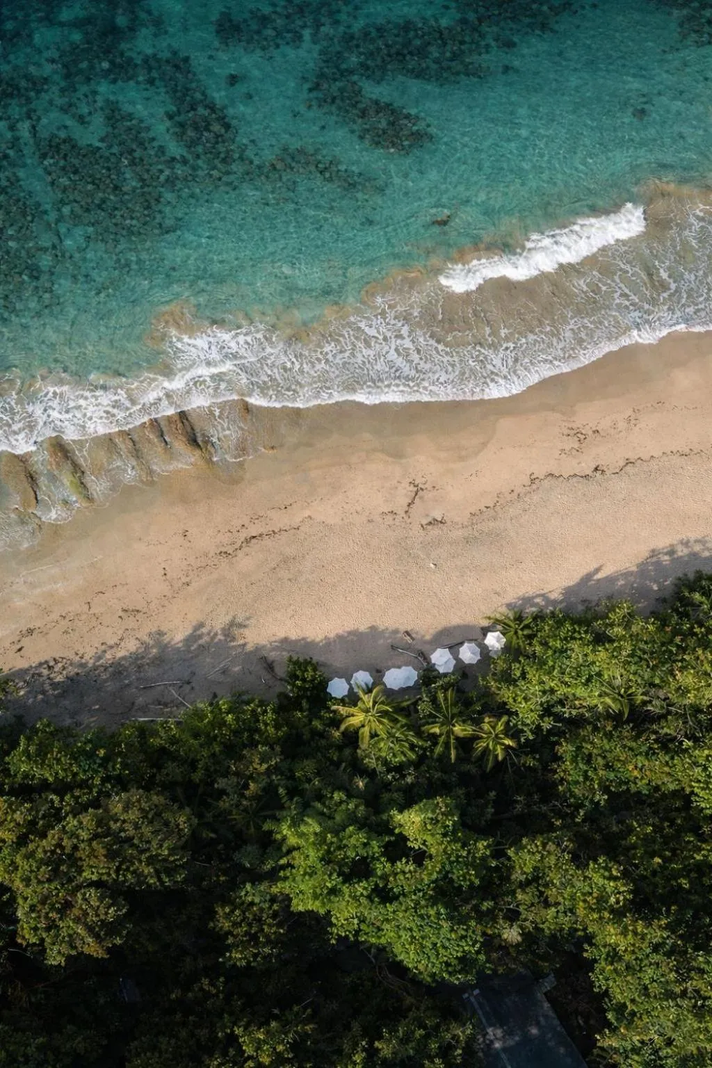 Beach in awā Beachfront Hotel