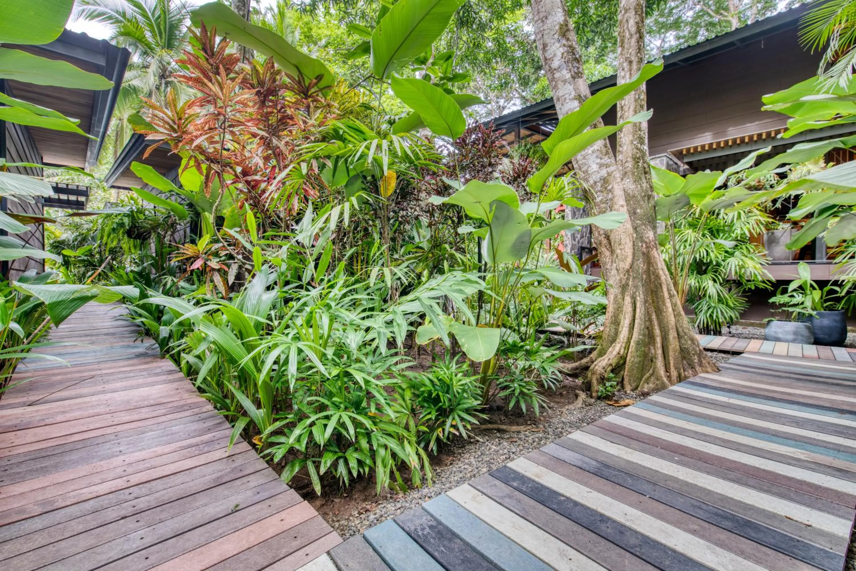 Garden in awā Beachfront Hotel