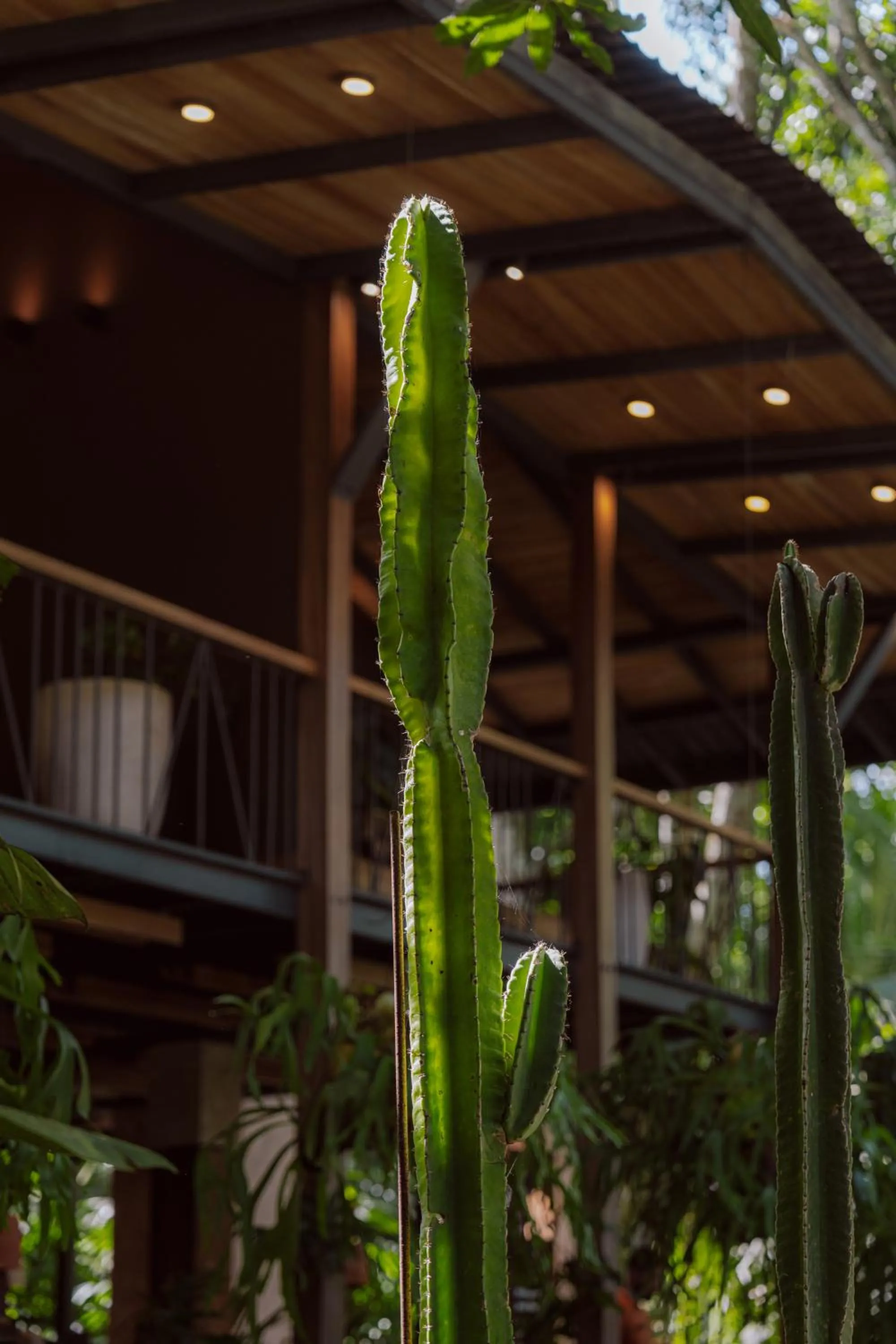 awā Beachfront Hotel