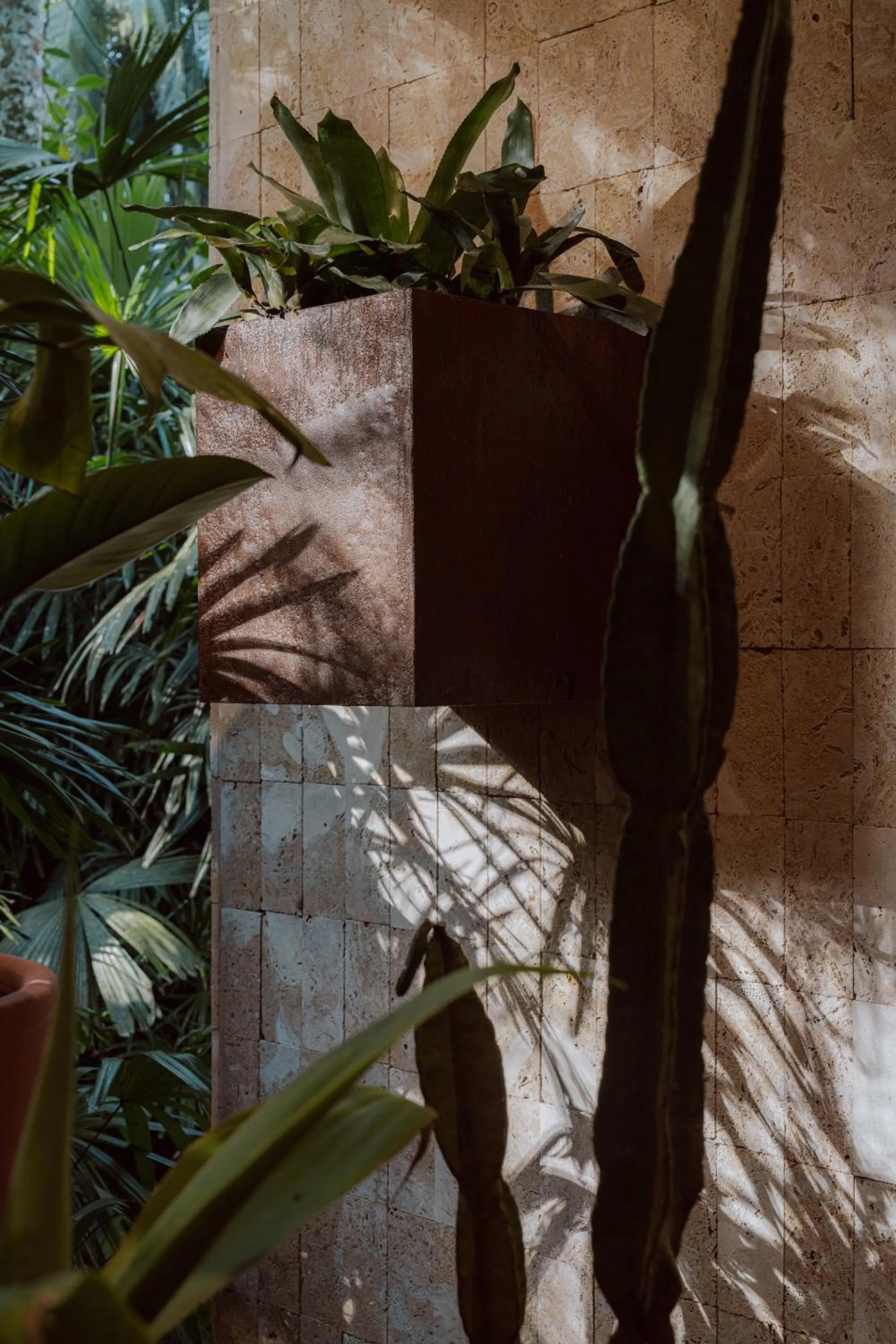 awā Beachfront Hotel