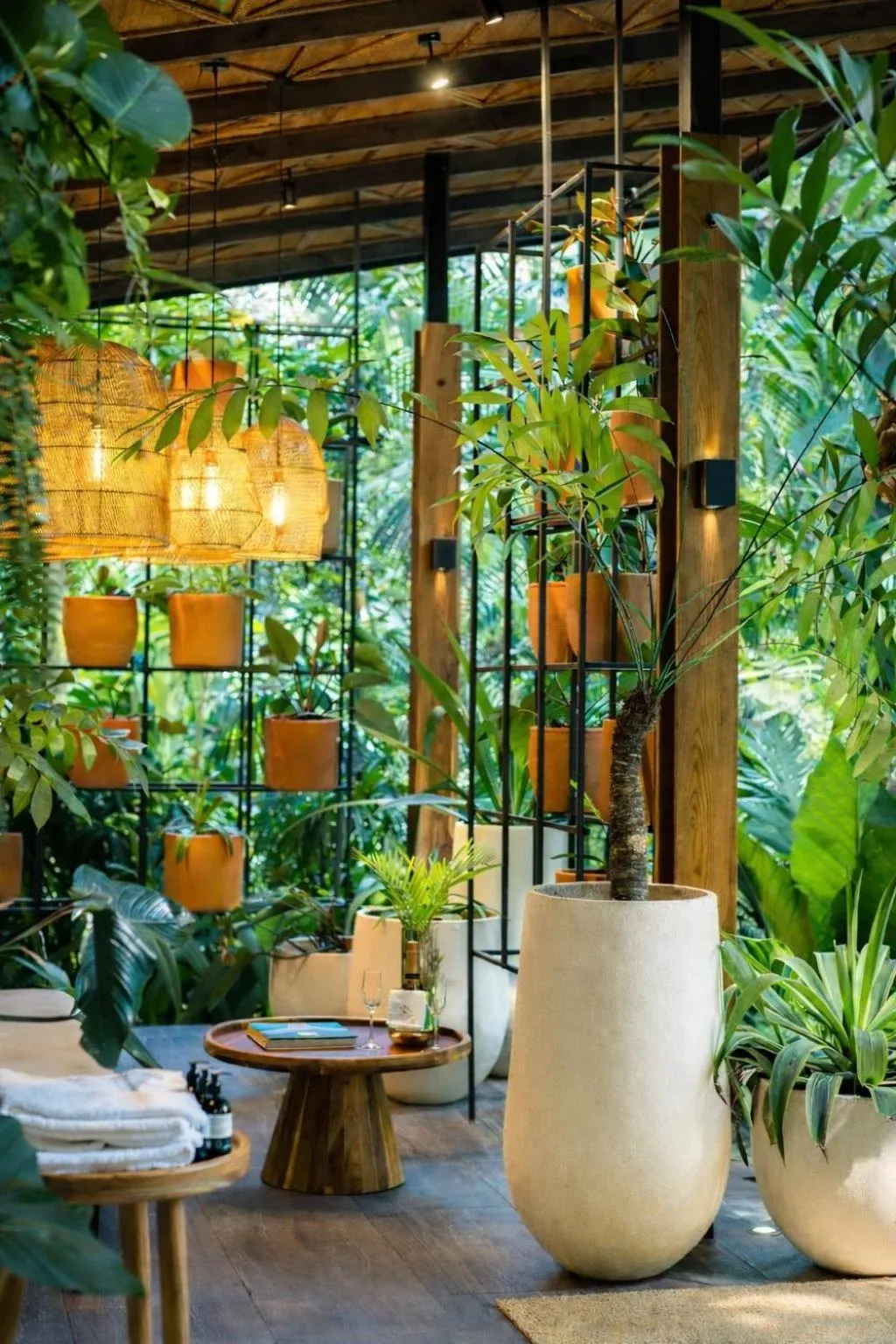 Garden in awā Beachfront Hotel