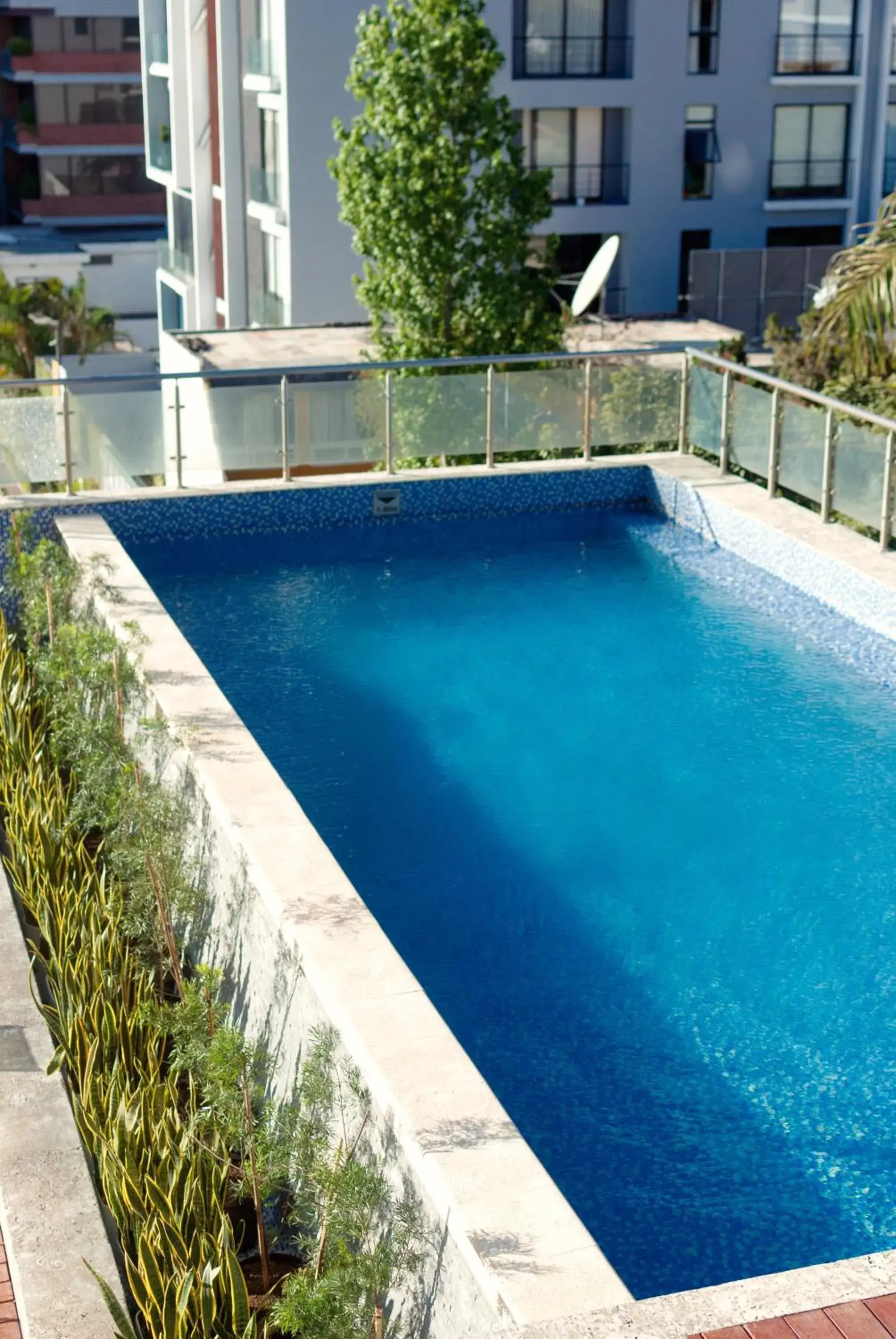 Pool view in Hotel Vista Quince Pool view in Hotel Vista Quince