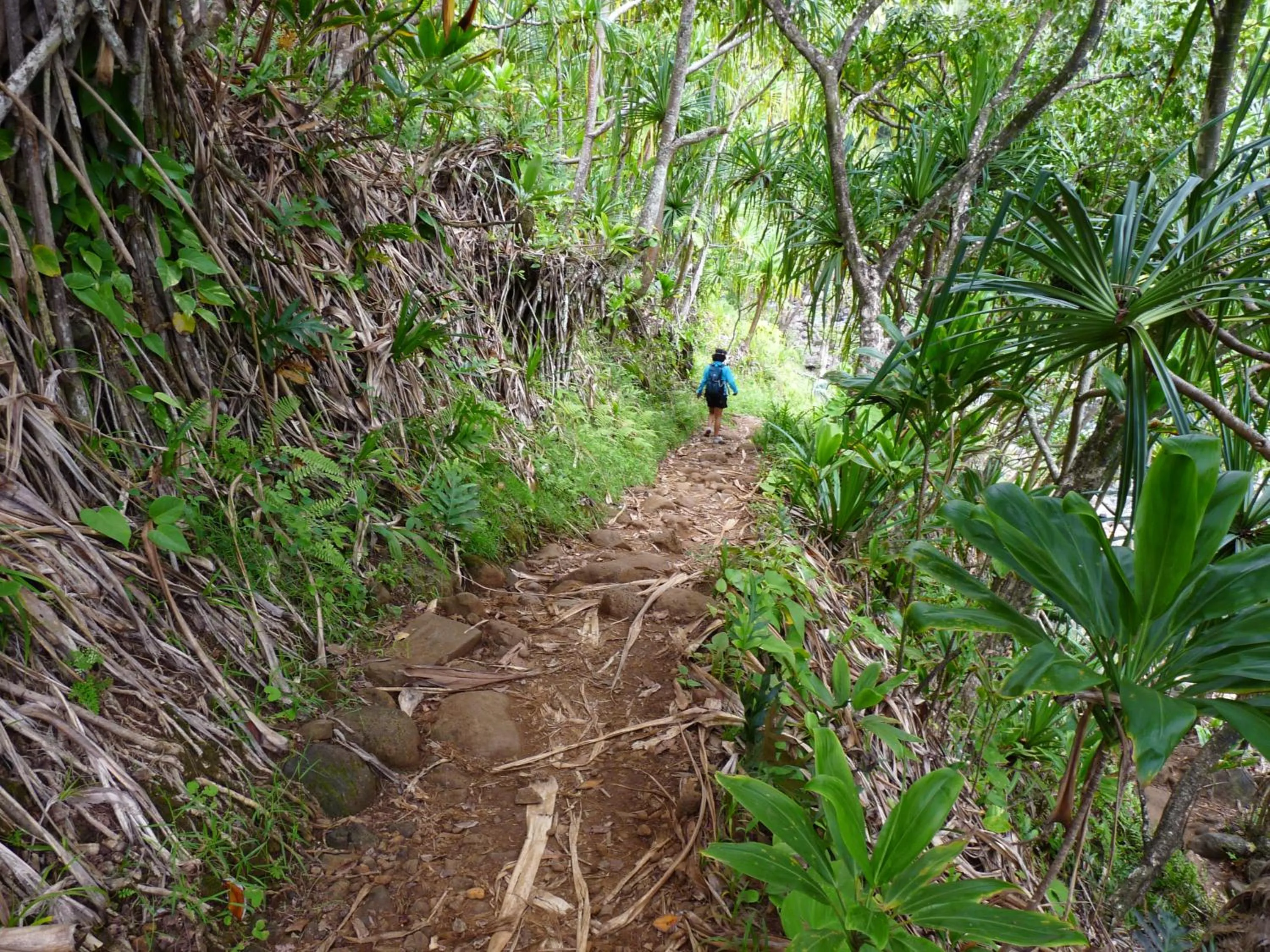 Hiking in Kiahuna Plantation 96, Poipu Beach, Club Membership, Part Ocean View, Kids Toys