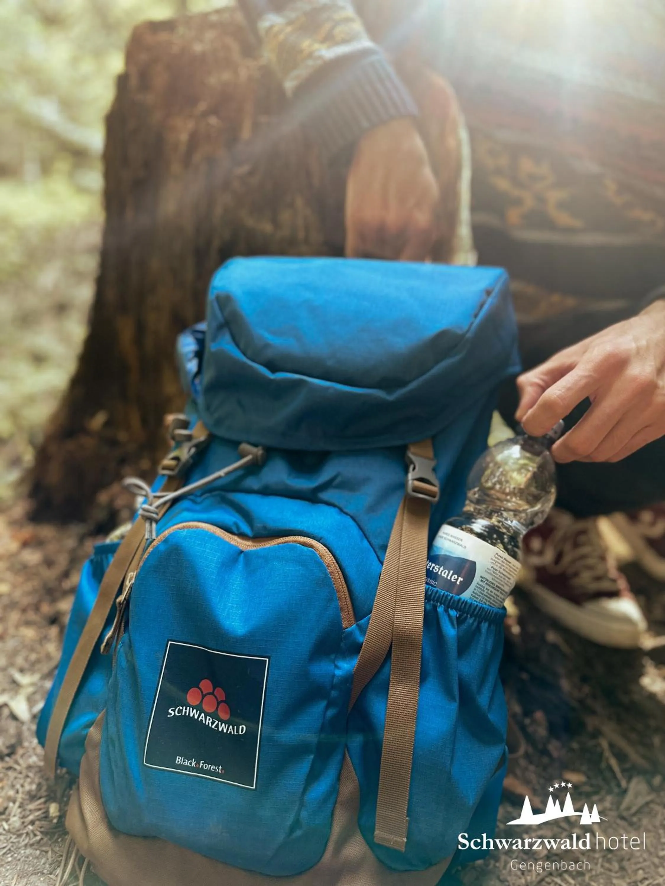 Natural landscape in Schwarzwaldhotel Gengenbach