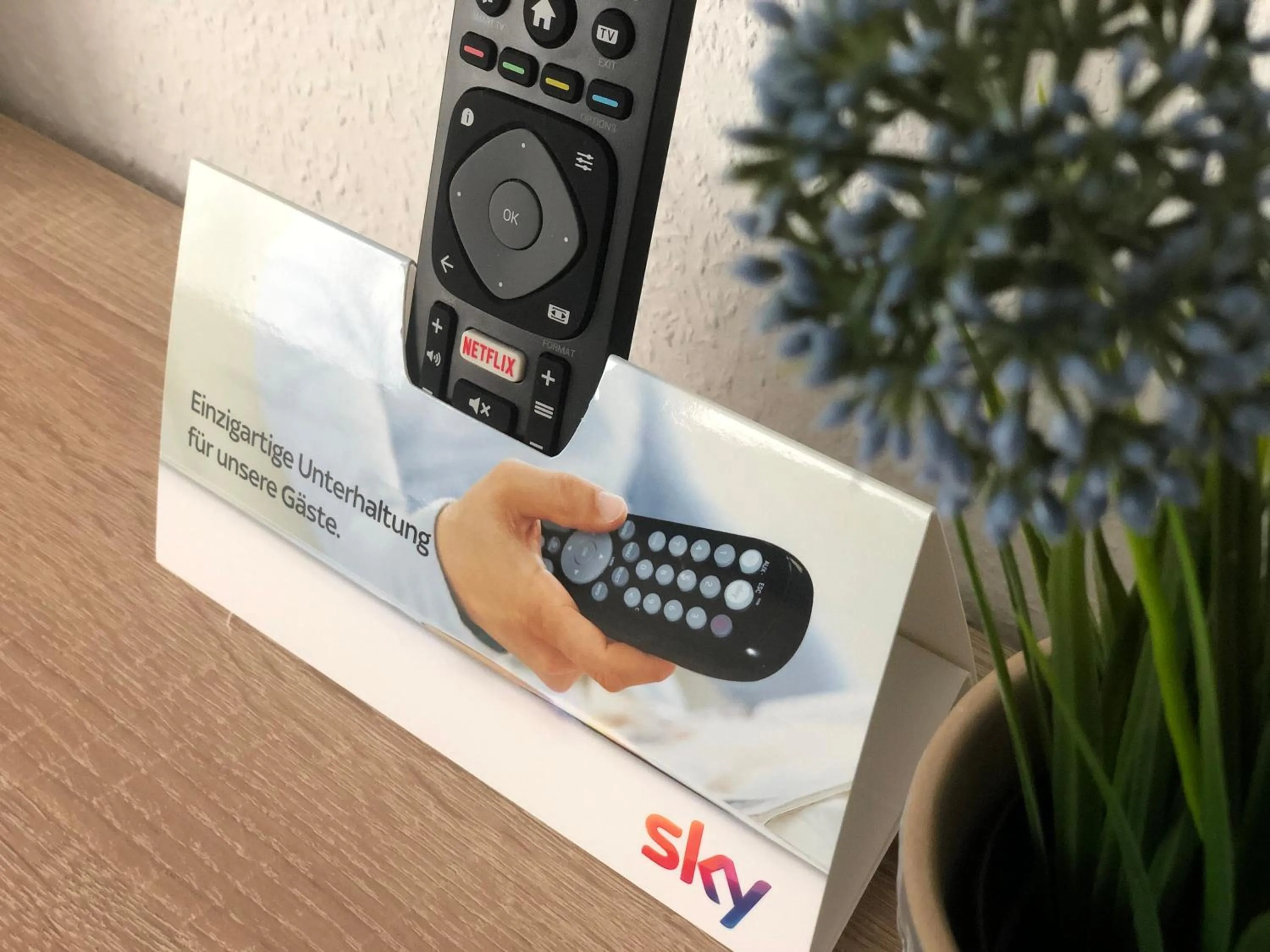 Activities in Hotel Marktterrassen