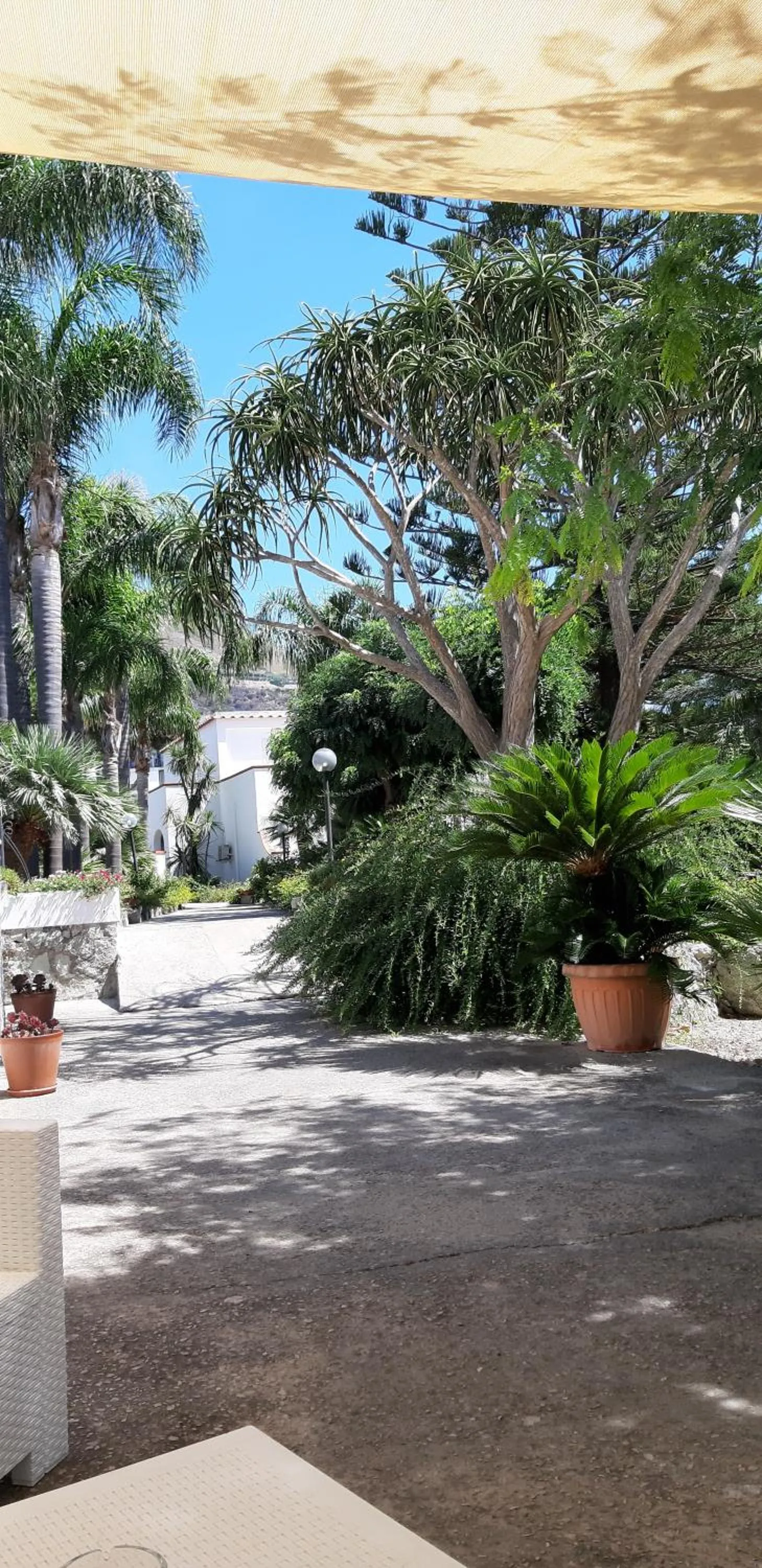 Cocos Park Ischia