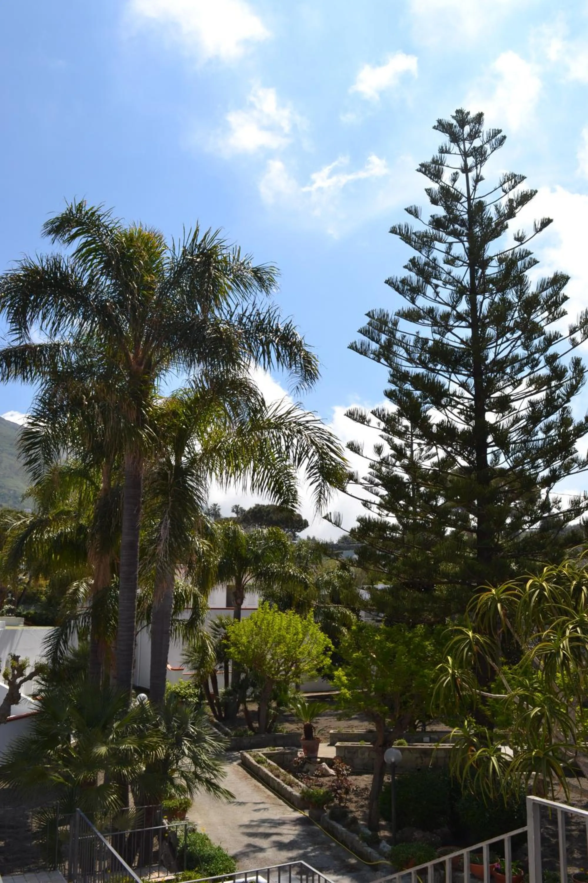 Cocos Park Ischia
