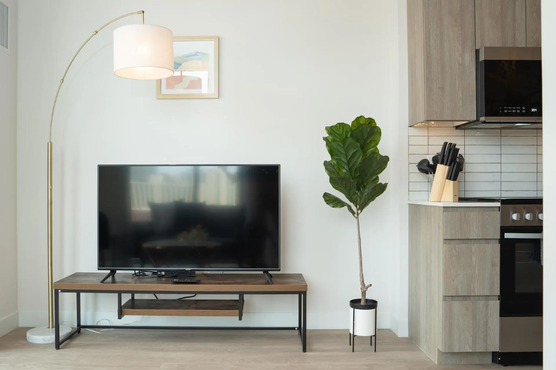 TV and multimedia in Kasa River North Chicago