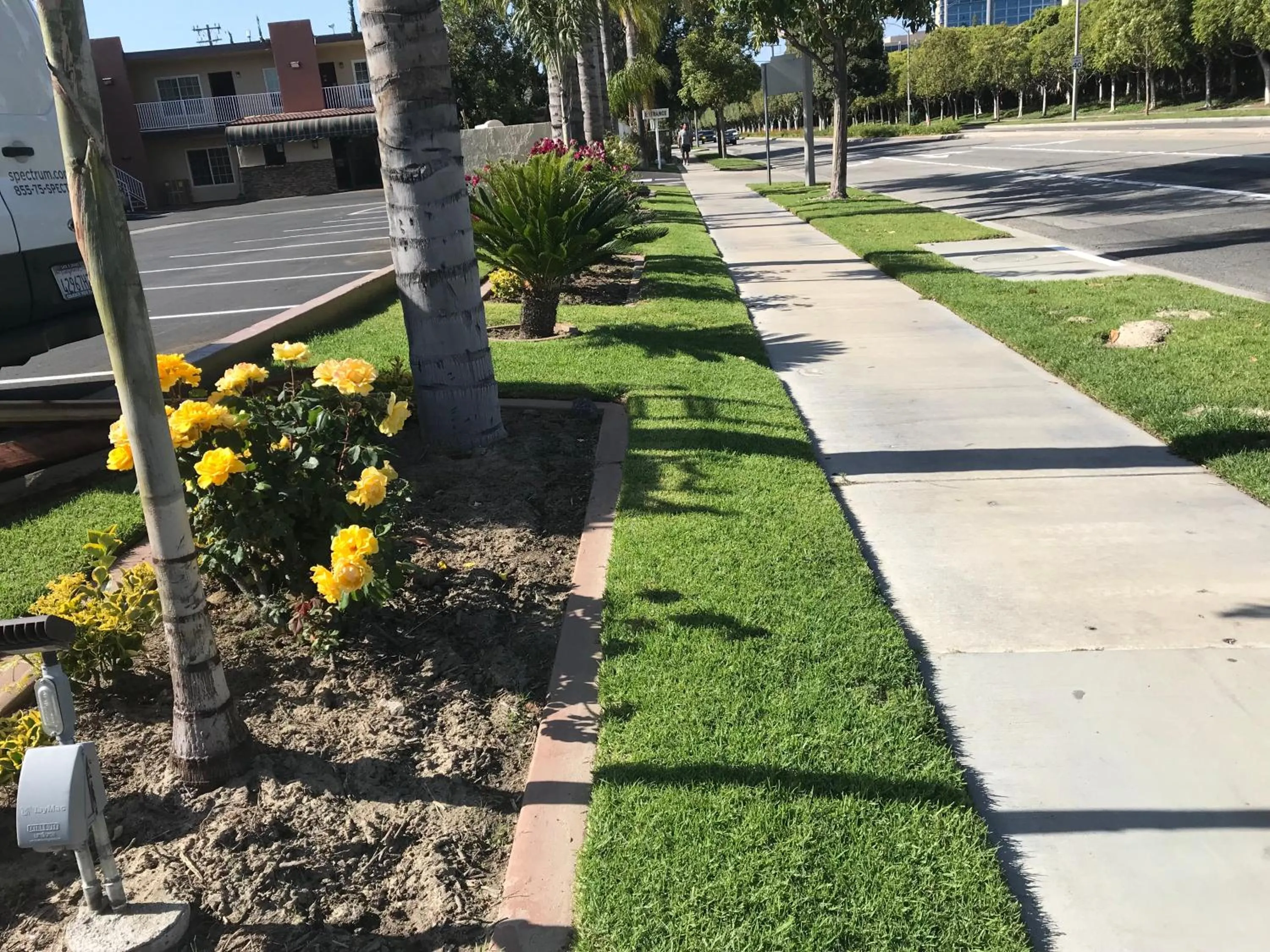 Garden in Abby's Anaheimer Inn - Across Disneyland Park