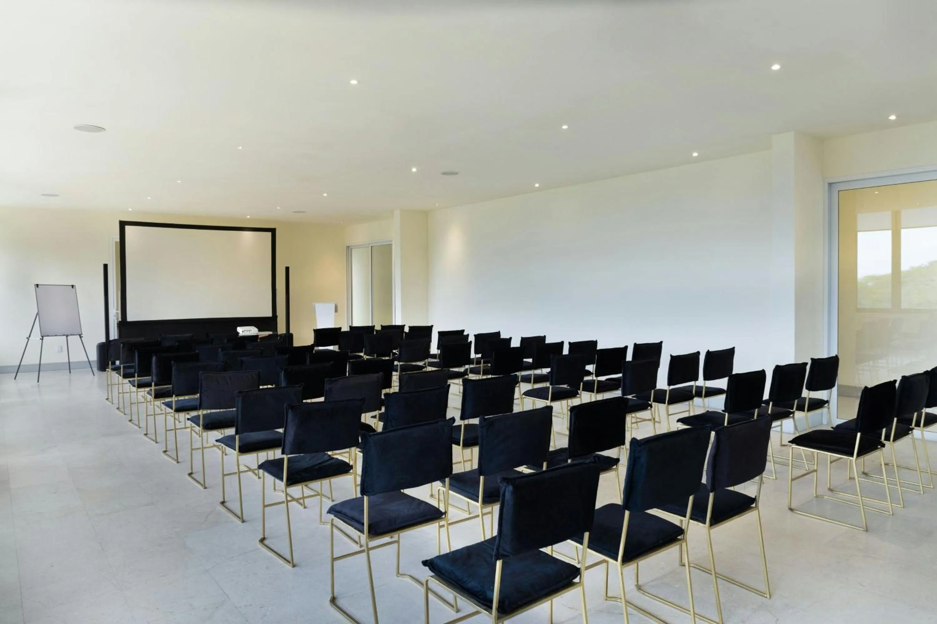 Meeting/conference room in Delta Hotels by Marriott Riviera Nayarit, an All-Inclusive Resort