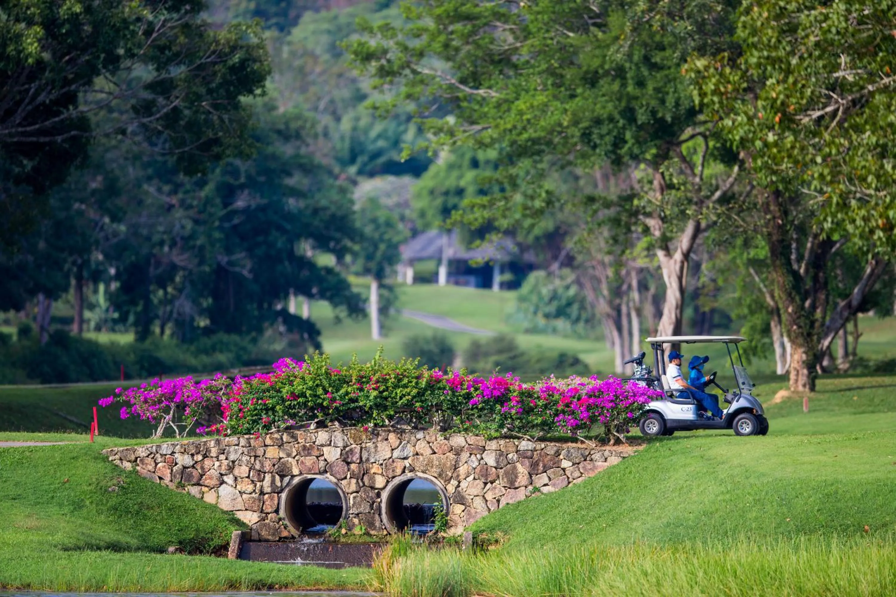 Golfcourse in Blue Canyon Country Club