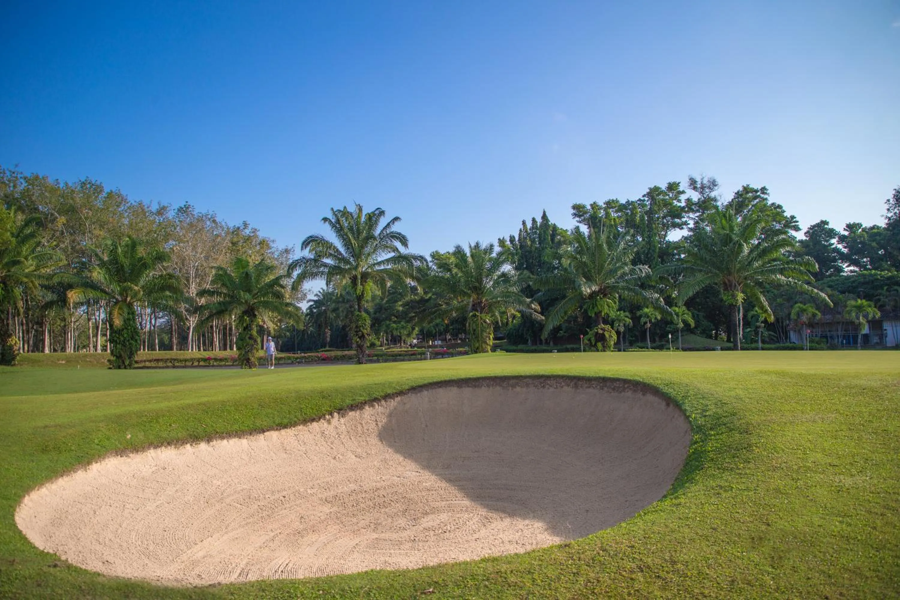 Golfcourse in Blue Canyon Country Club