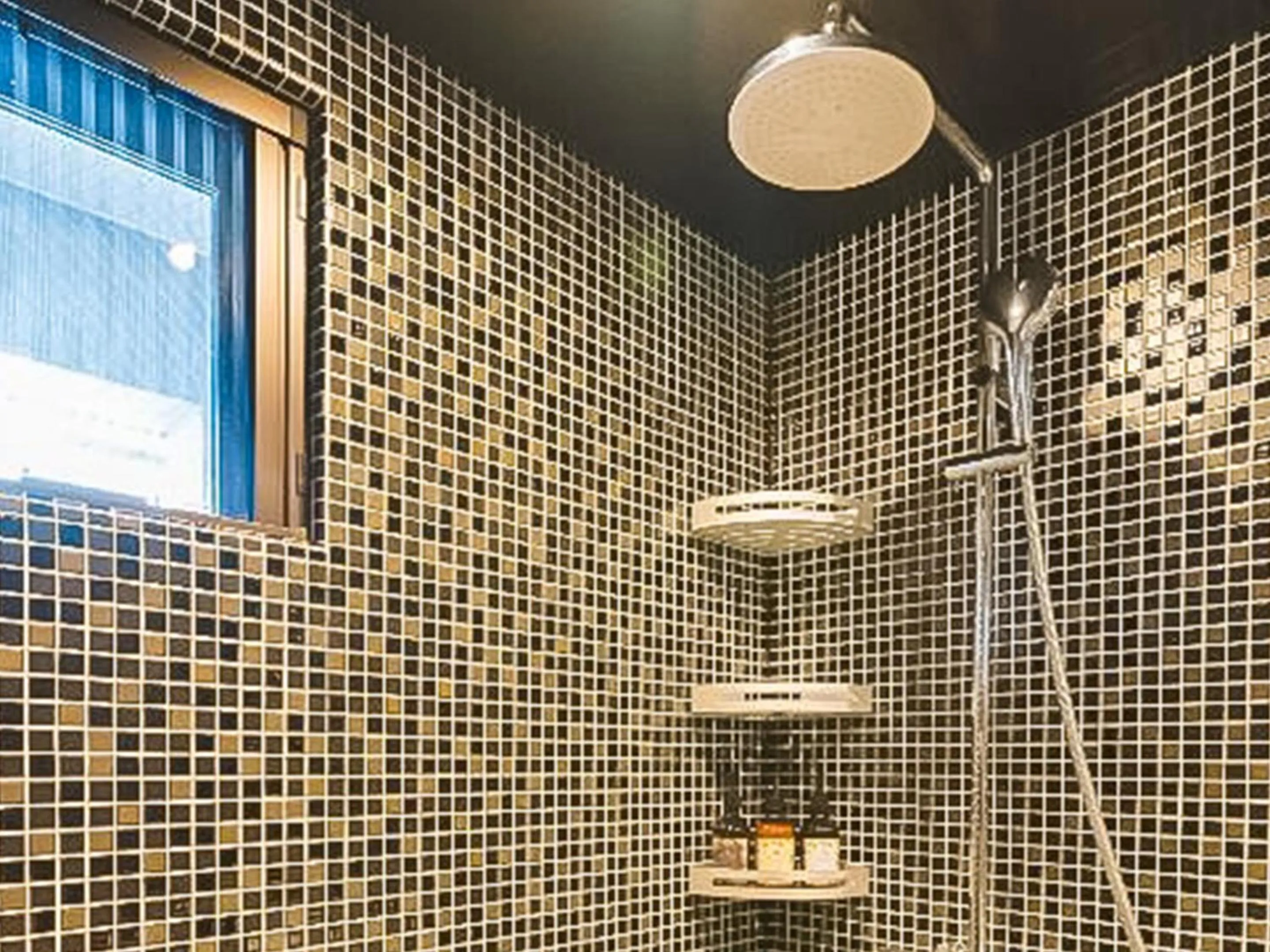 Shower in Kyoto Earth Hotel