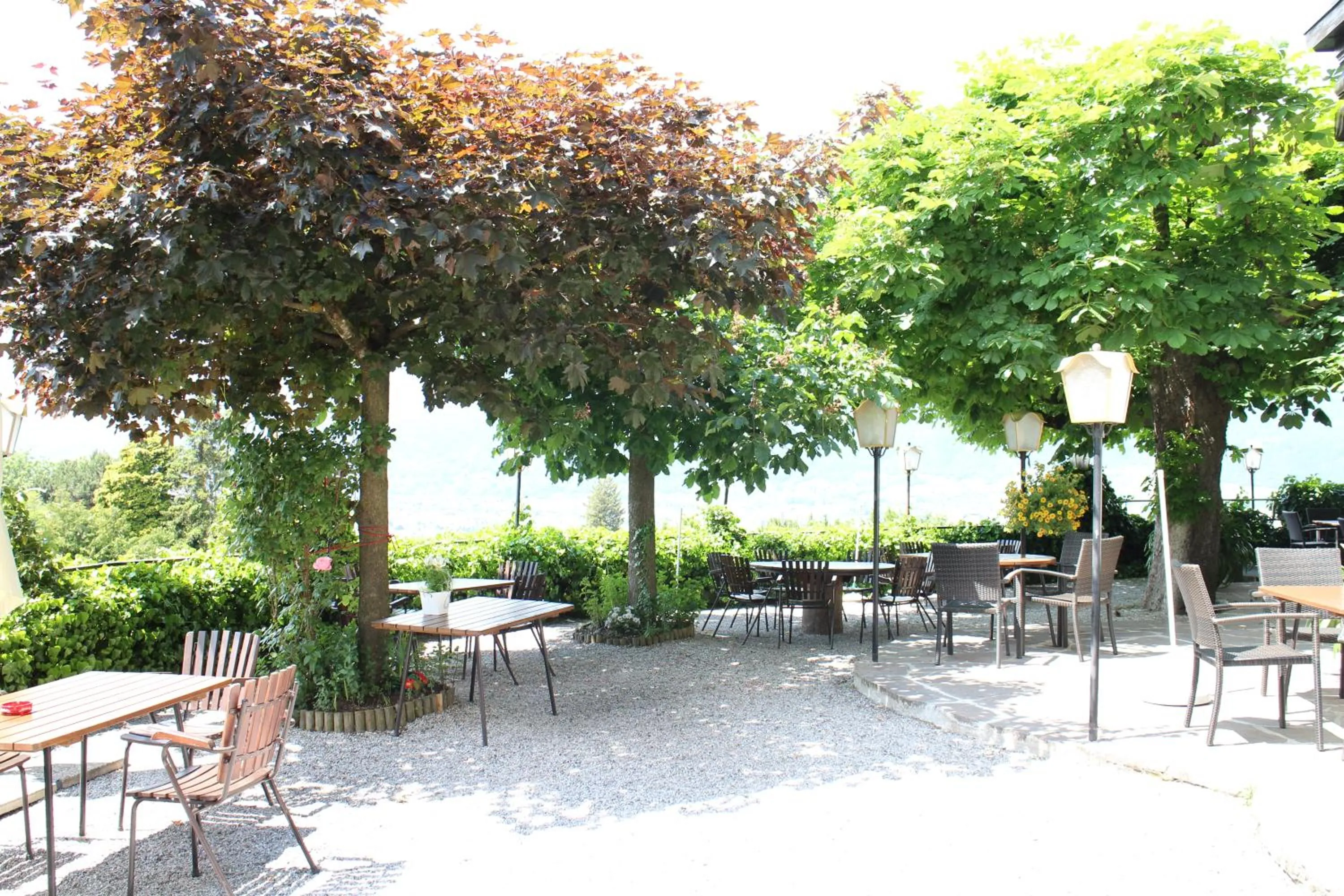 Restaurant/places to eat in Aldranser Hof