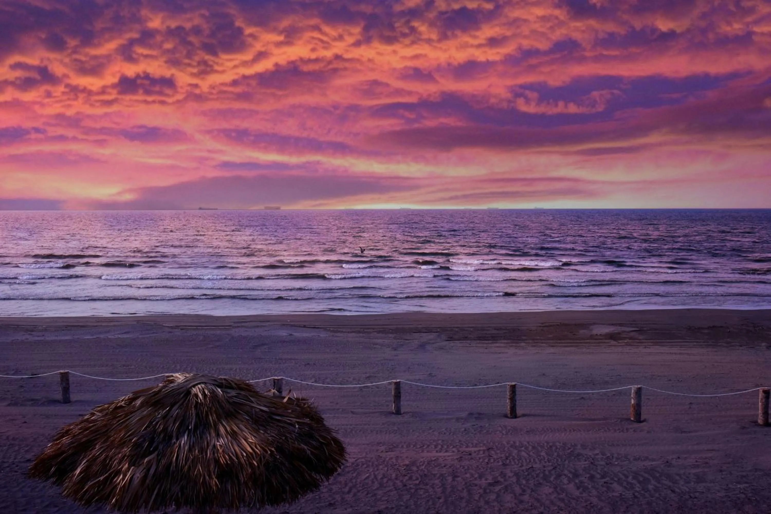 Beach in Delta Hotels by Marriott Riviera Veracruz