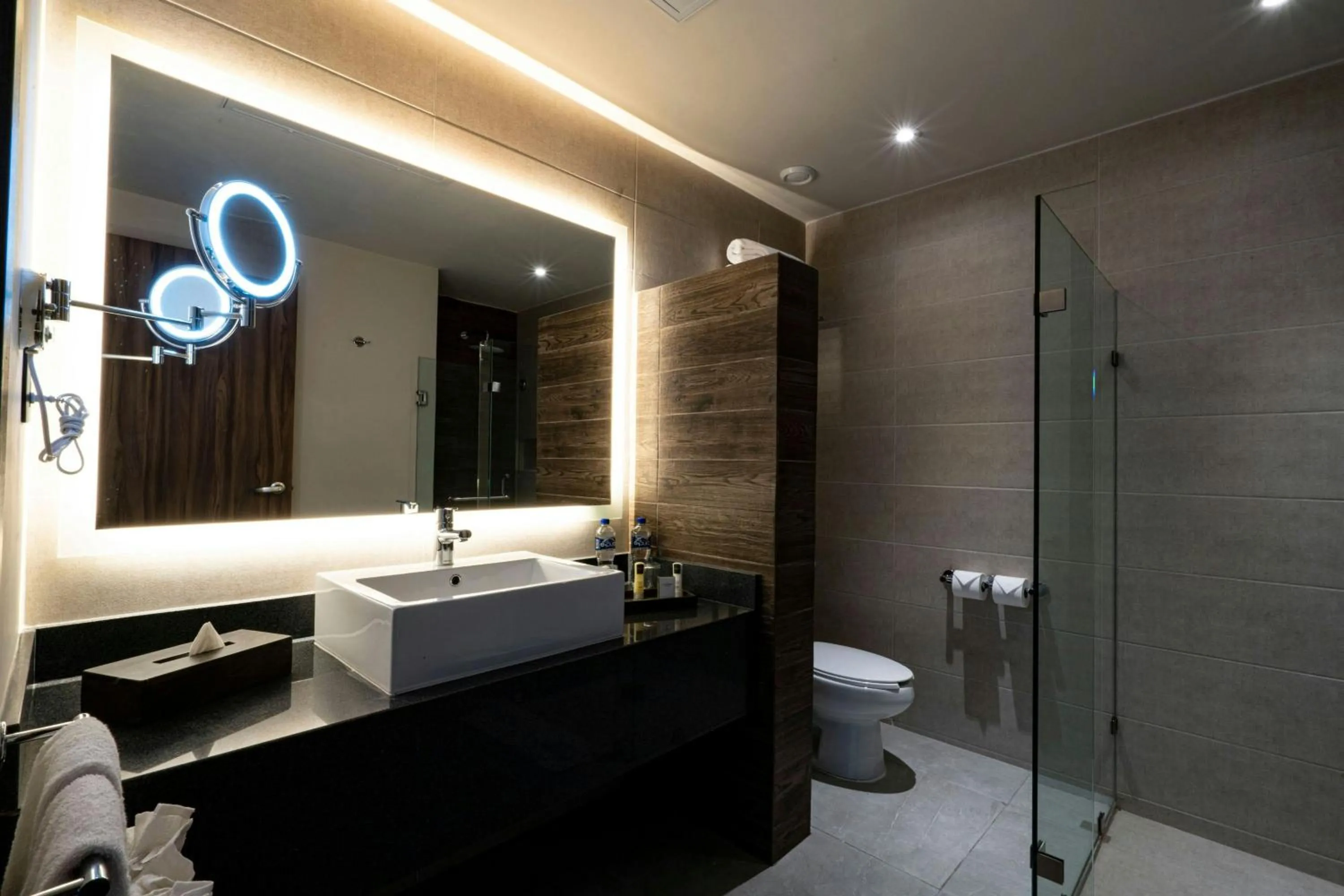 Bathroom in Delta Hotels by Marriott Riviera Veracruz