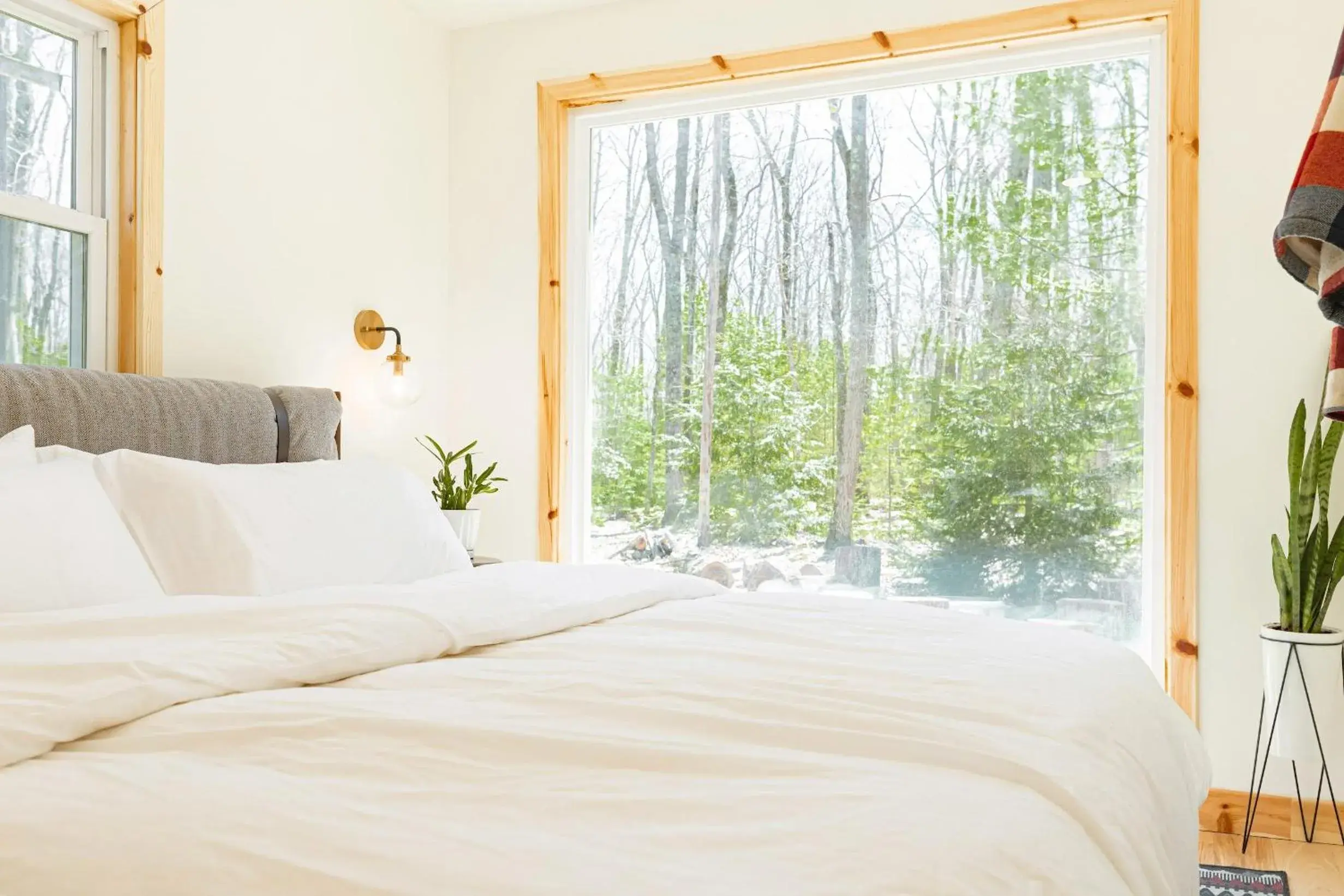 Deluxe Family Suite in The Rex Deluxe Family Suite in The Rex