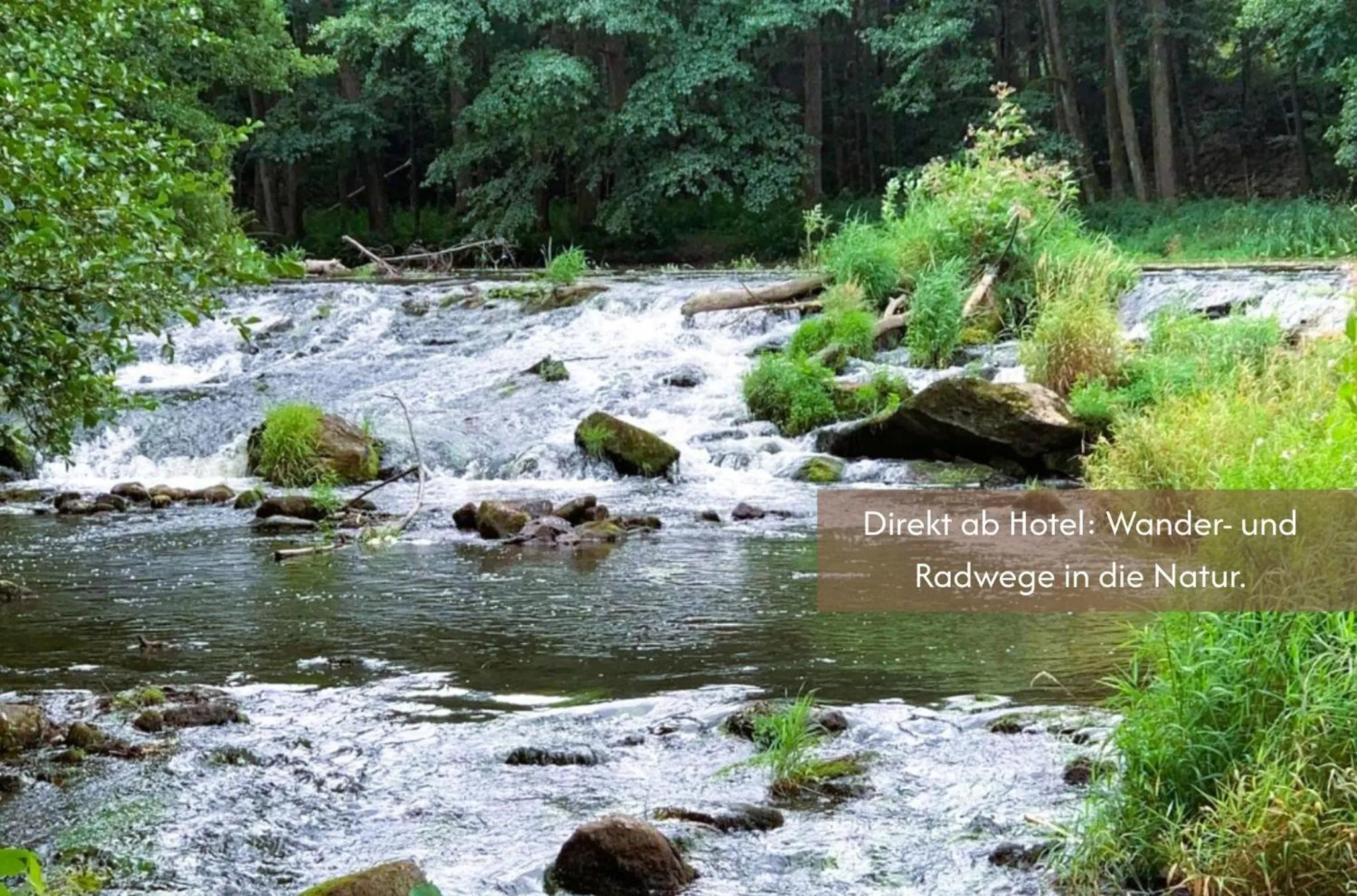 Hiking in Hotel Wutzschleife
