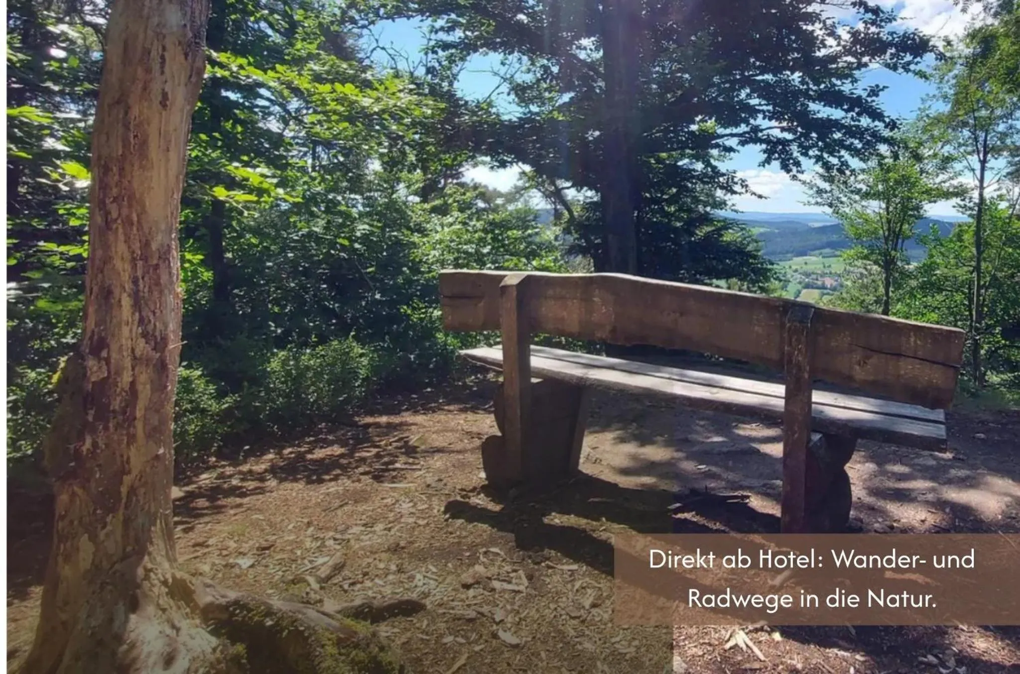 Hiking in Hotel Wutzschleife