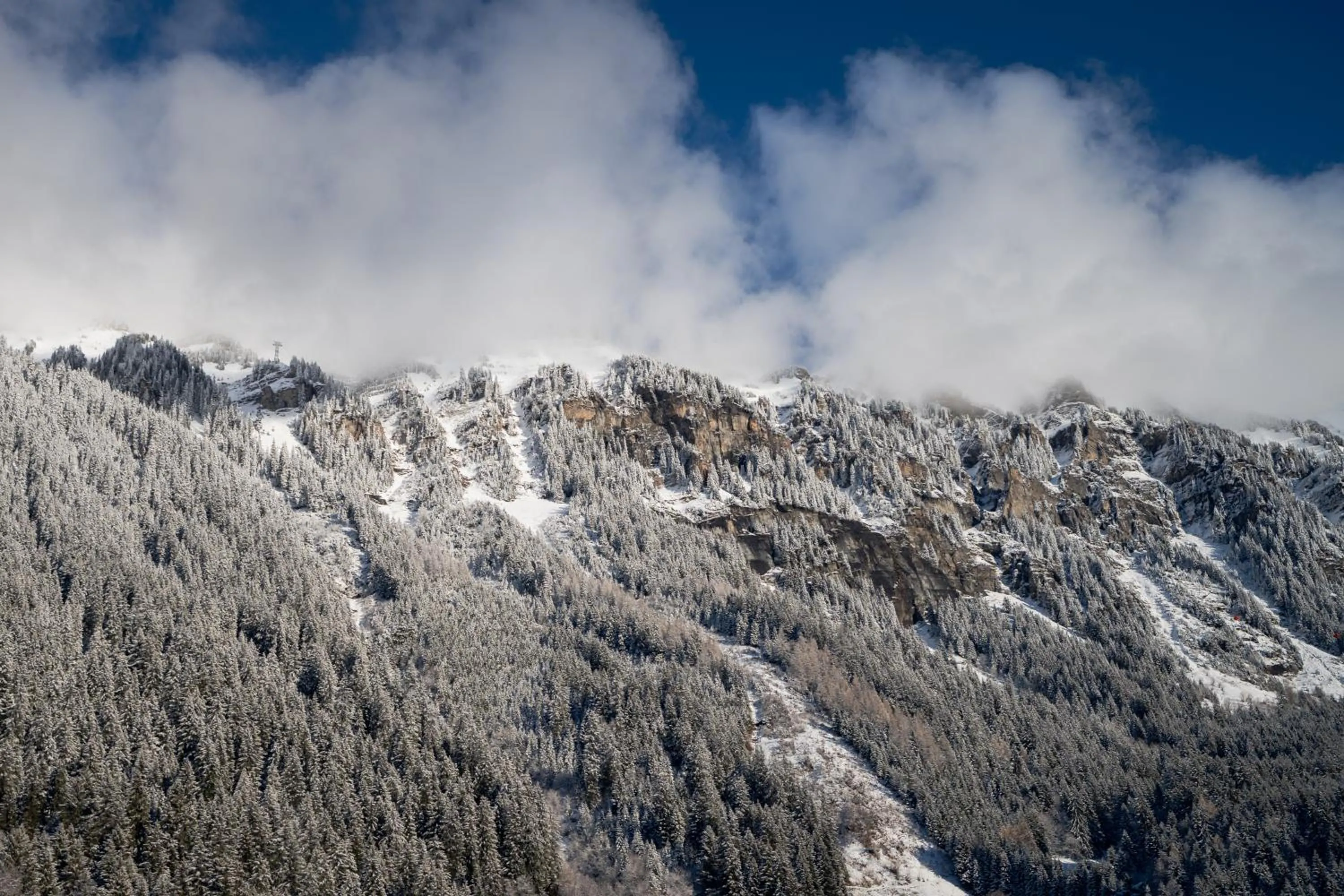 View (from property/room) in Hotel Jungfraublick
