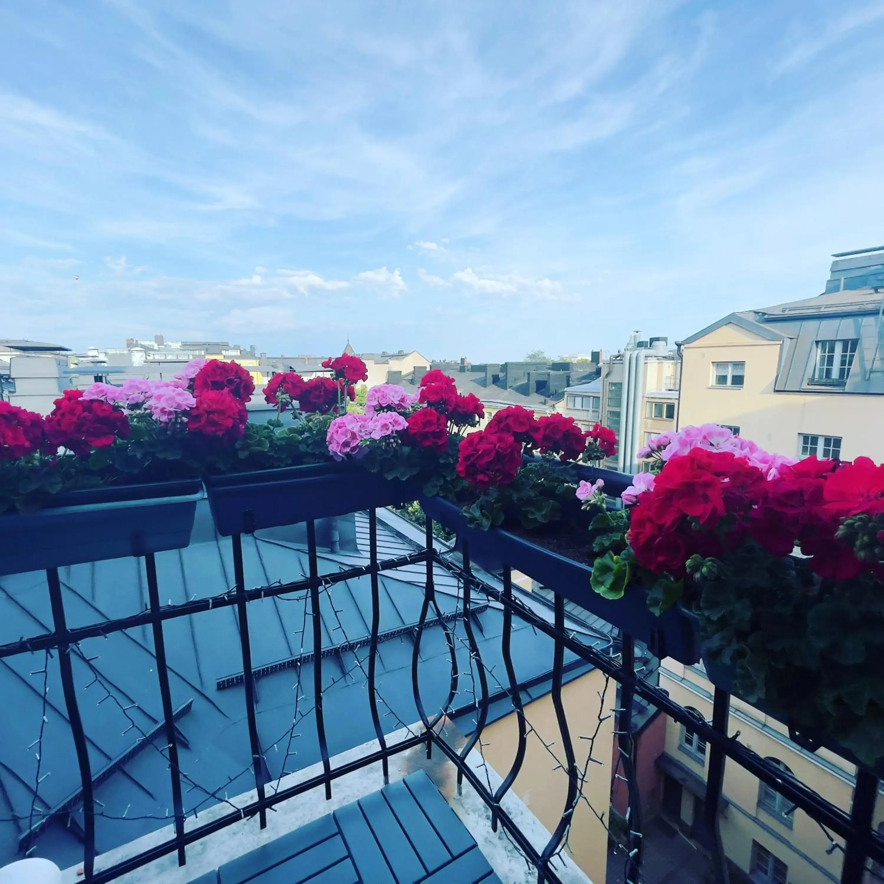 Budget Single Room in Senate Hotel Budget Single Room in Senate Hotel