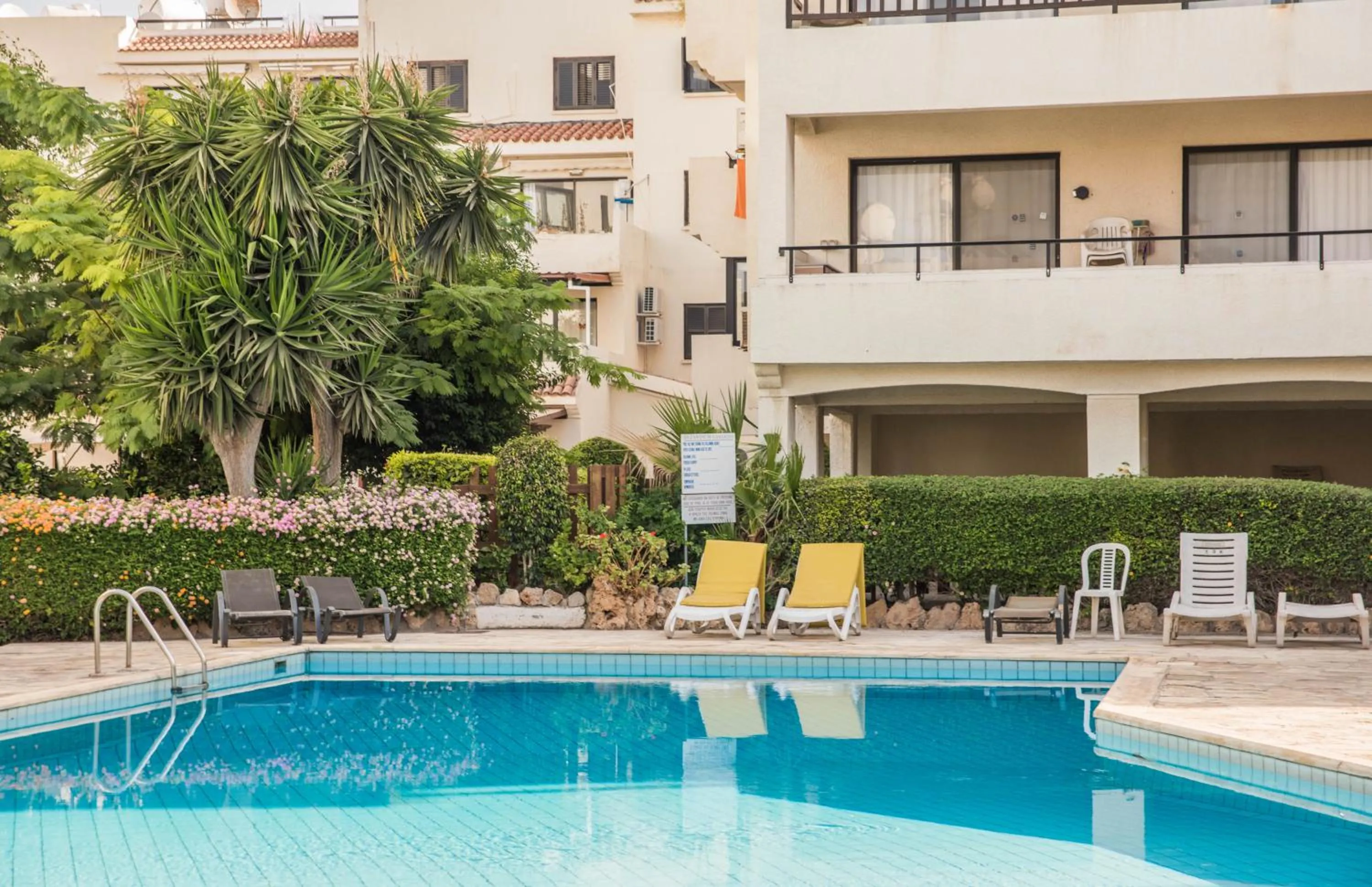 Swimming pool in One bedroom apartment in Paphos in good location