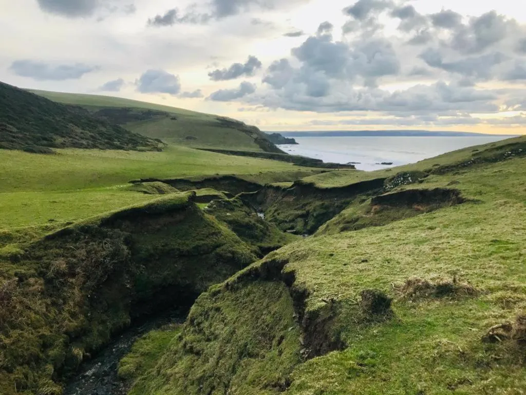 Natural landscape in The New Inn Clovelly