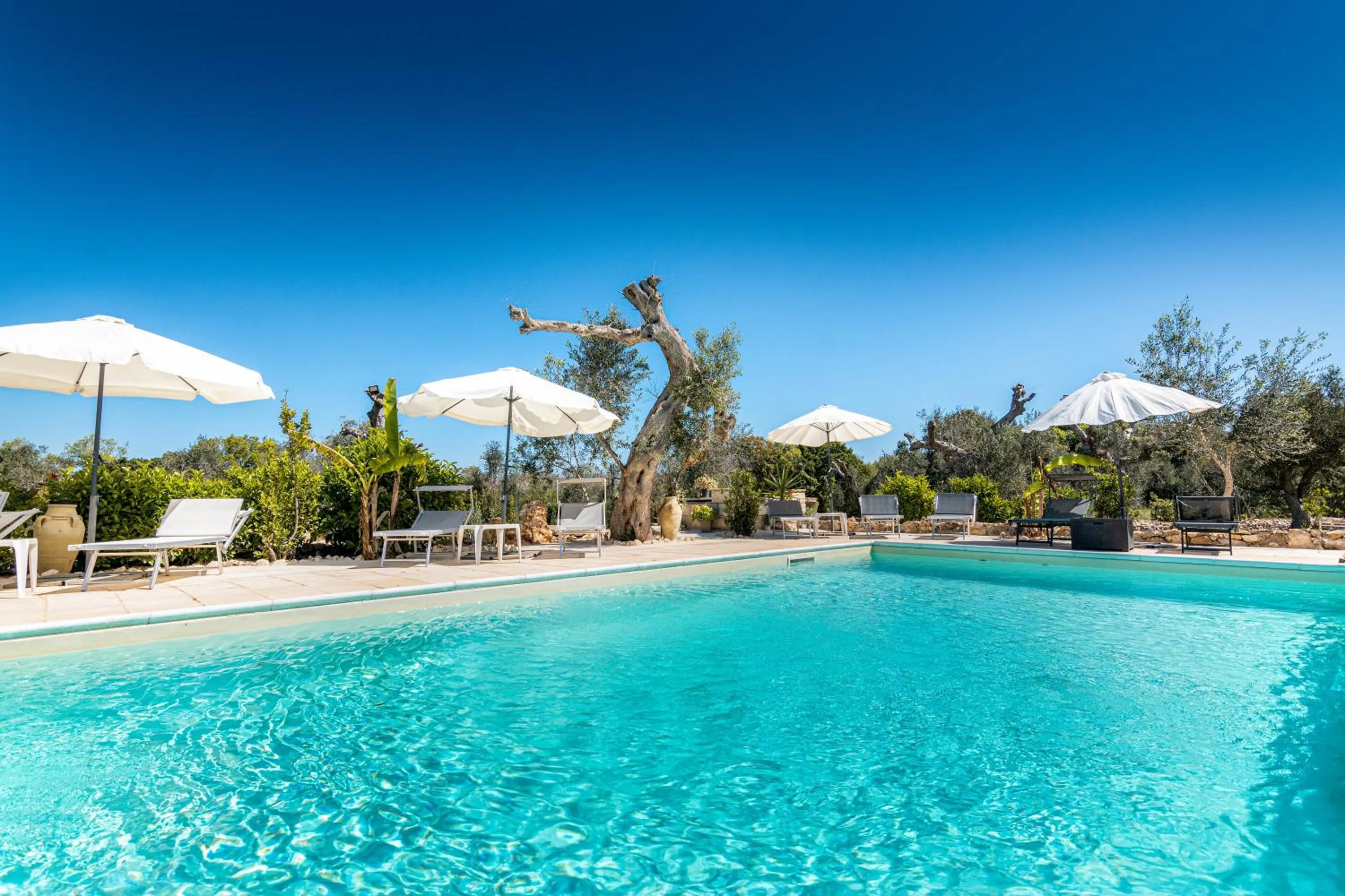 Pool view in Tenuta San Lorenzo