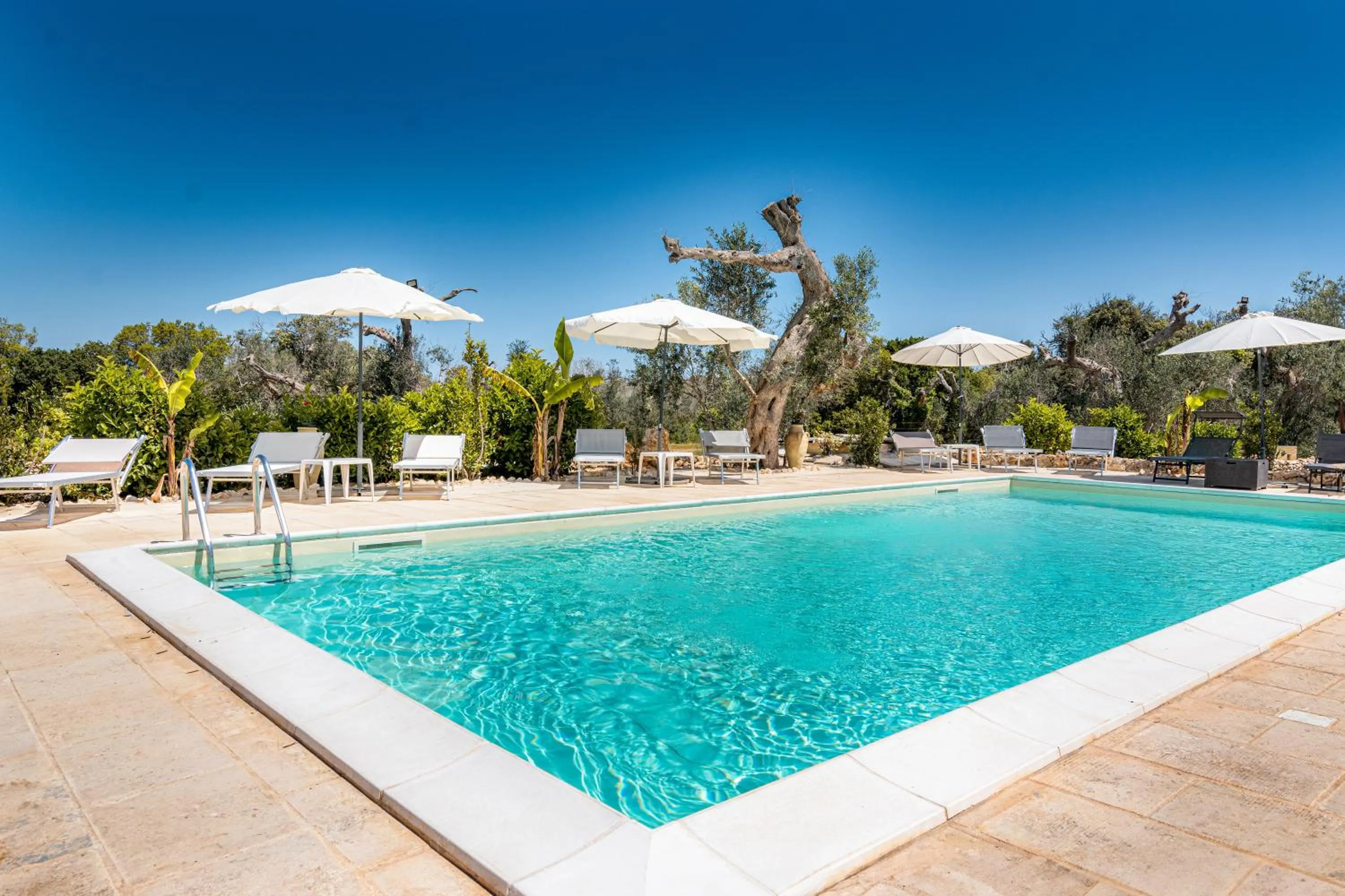 Swimming pool in Tenuta San Lorenzo