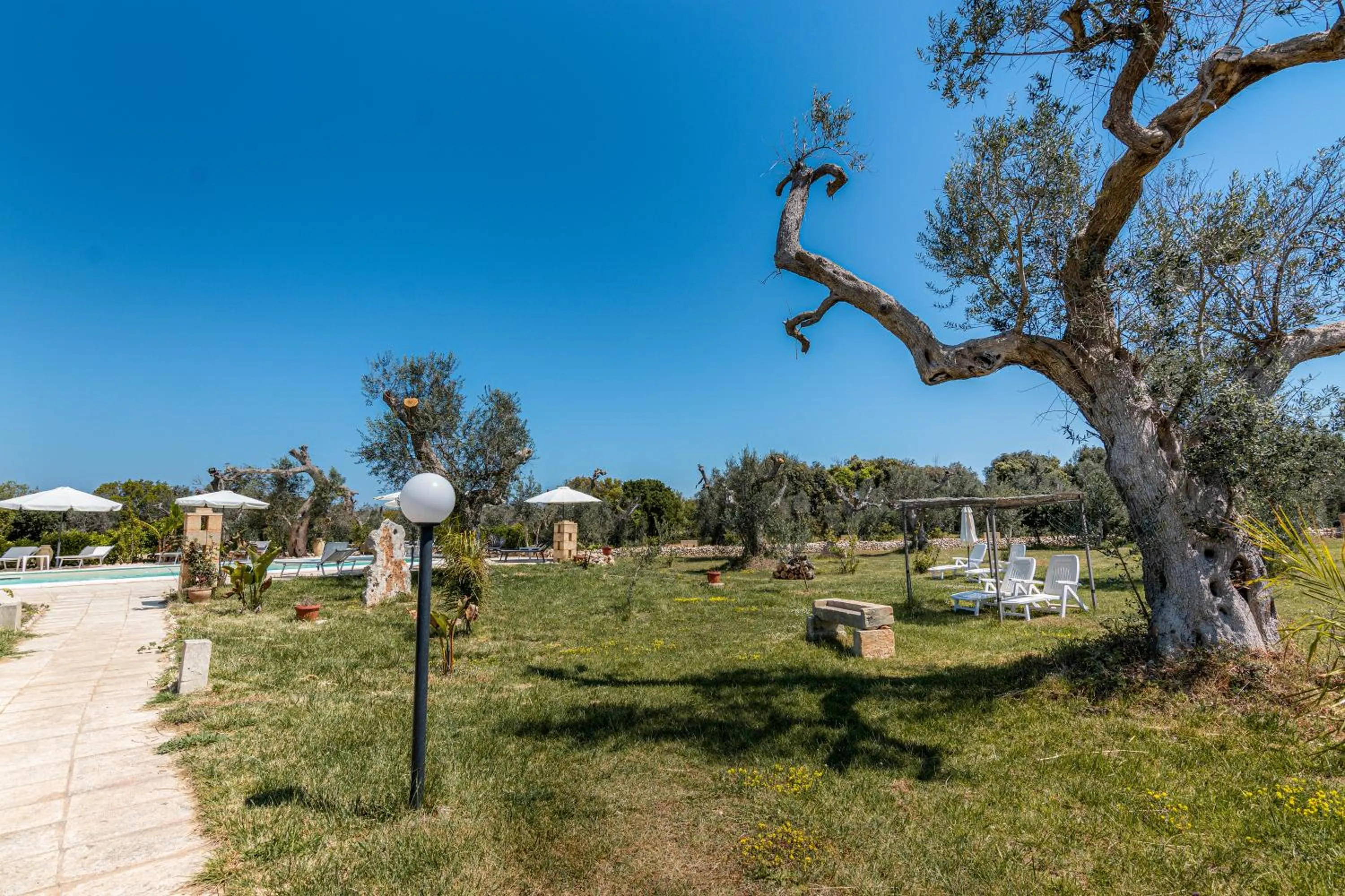 Natural landscape in Tenuta San Lorenzo