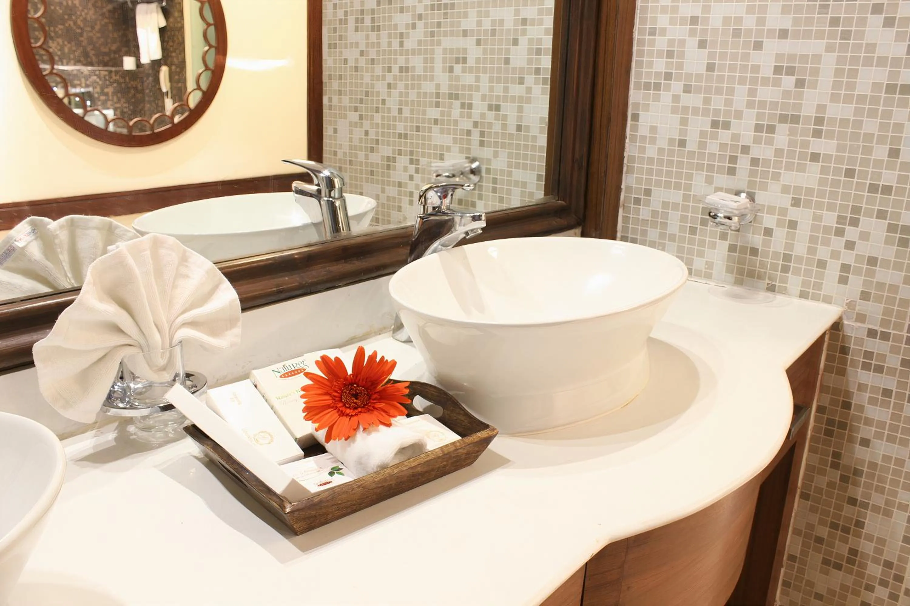 Bathroom in Godwin Haridwar