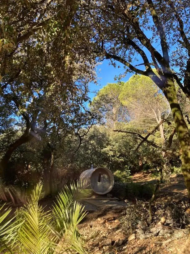 Suite Royale- SPA - Jacuzzi - Sauna - Massage - 2 Double Rooms - 4 SAISONS - Piscine Chauffée Toute l'année - POOL VIEW - Heated POOL -800m City Centre