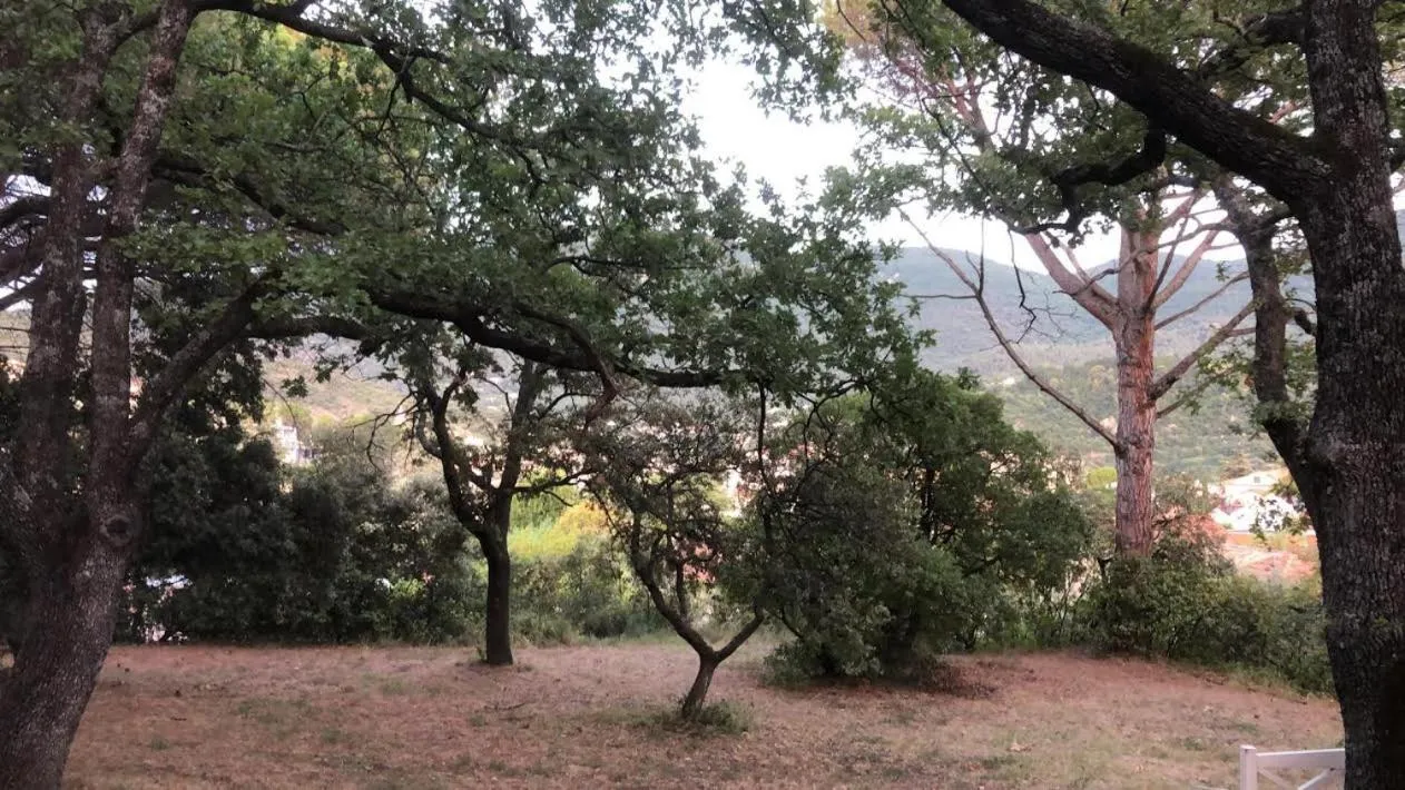 Suite Royale- SPA - Jacuzzi - Sauna - Massage - 2 Double Rooms - 4 SAISONS - Piscine Chauffée Toute l'année - POOL VIEW - Heated POOL -800m City Centre