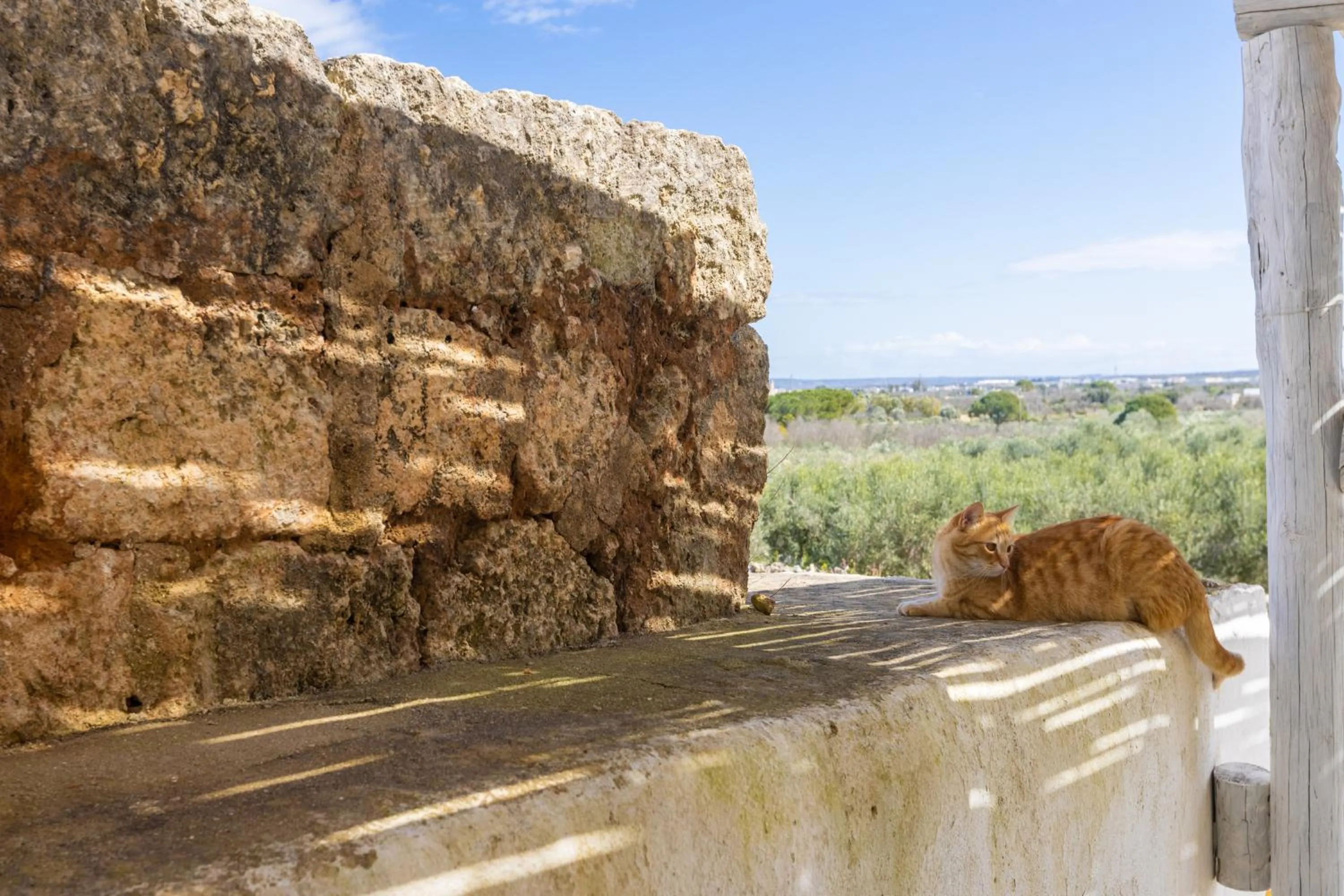 Animals in Masseria del Ninfeo