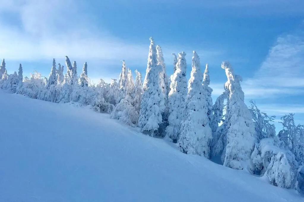 The MountainSide by Escapades Tremblant