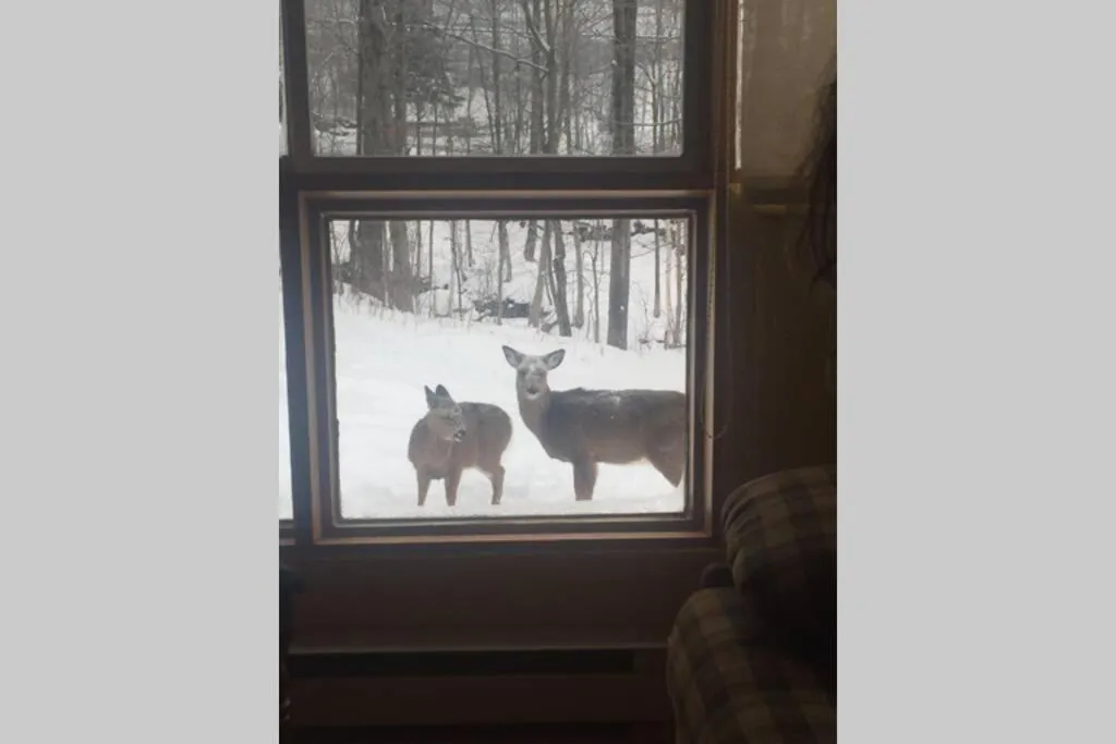 The MountainSide by Escapades Tremblant