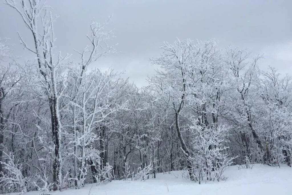 The MountainSide by Escapades Tremblant