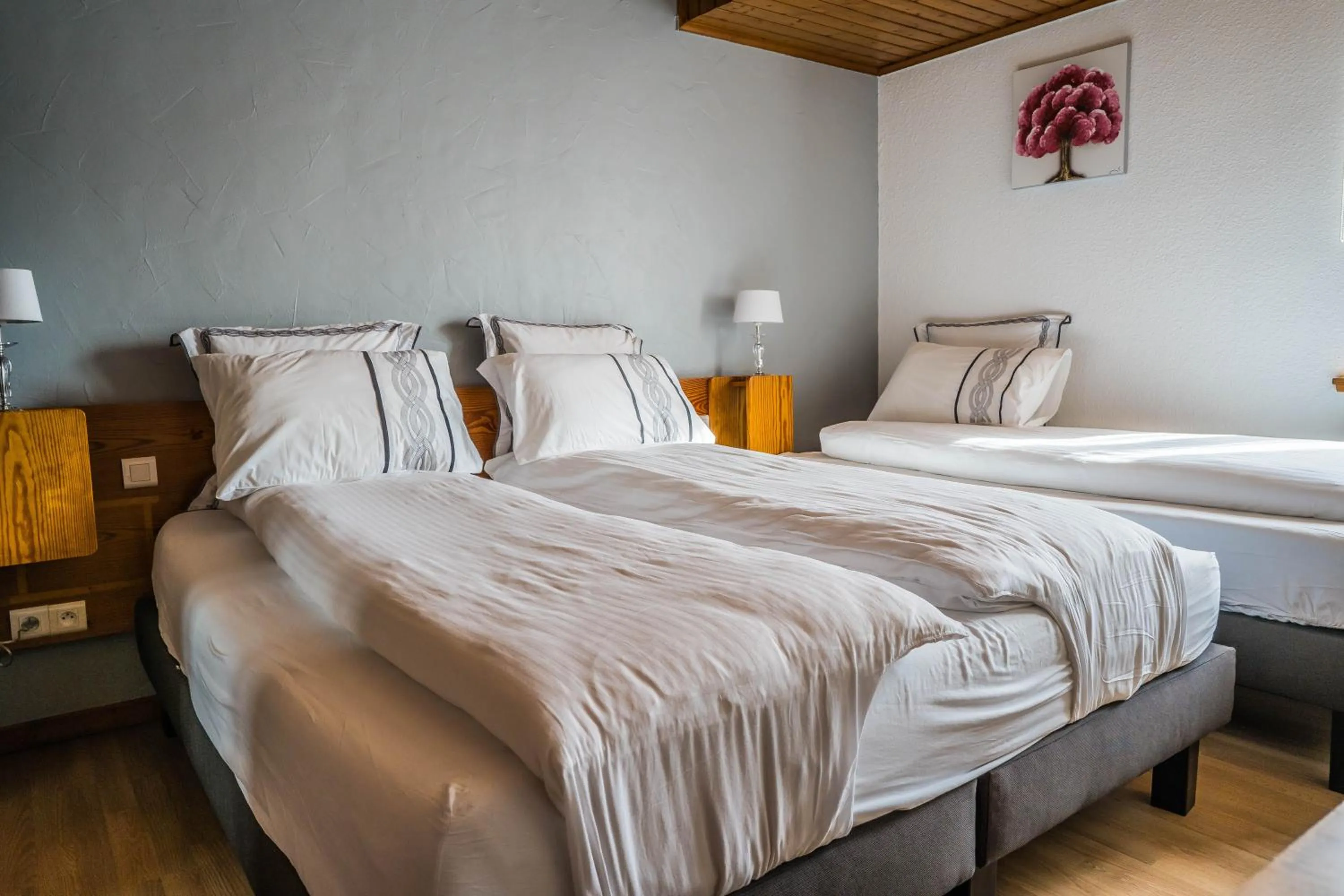 Bed in Hôtel Au Vieux Moulin