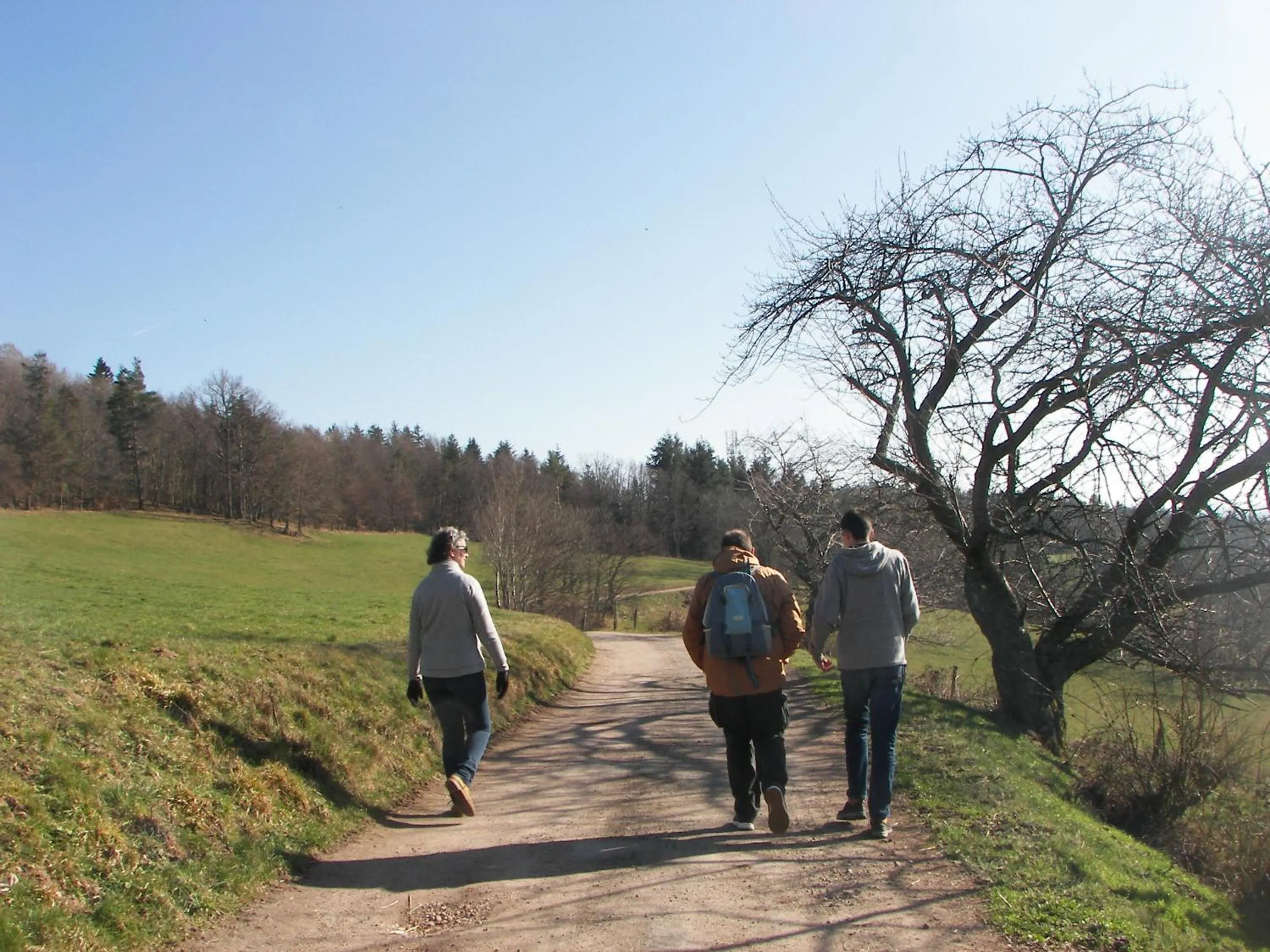 Hiking in Hôtel Au Vieux Moulin