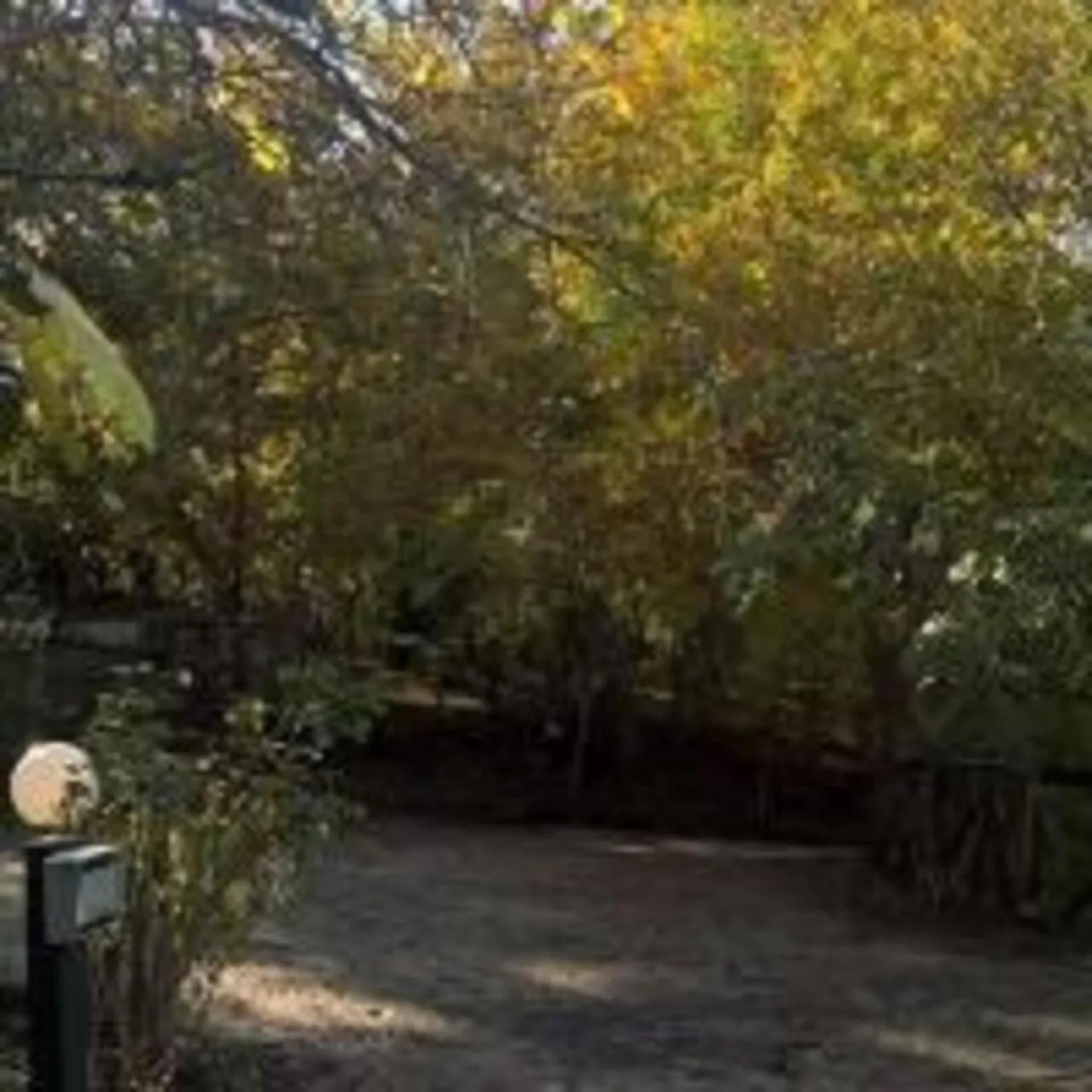 Garden in La casa nel bosco