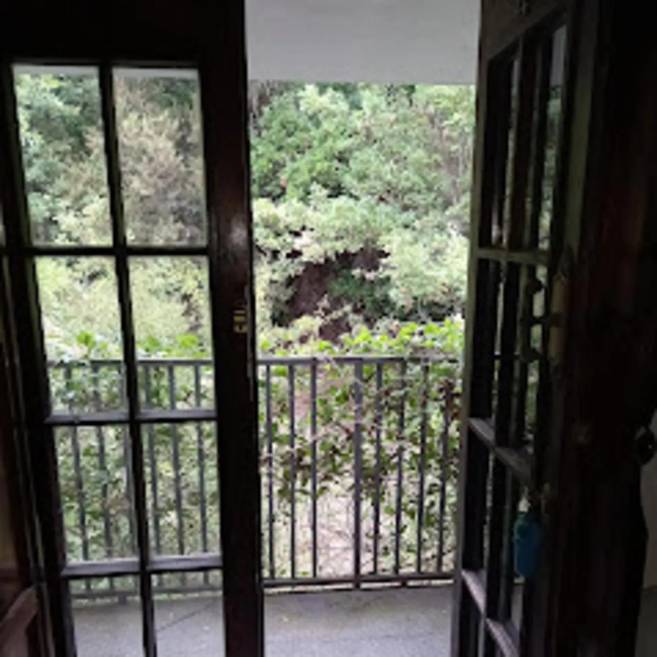 Garden view in La casa nel bosco