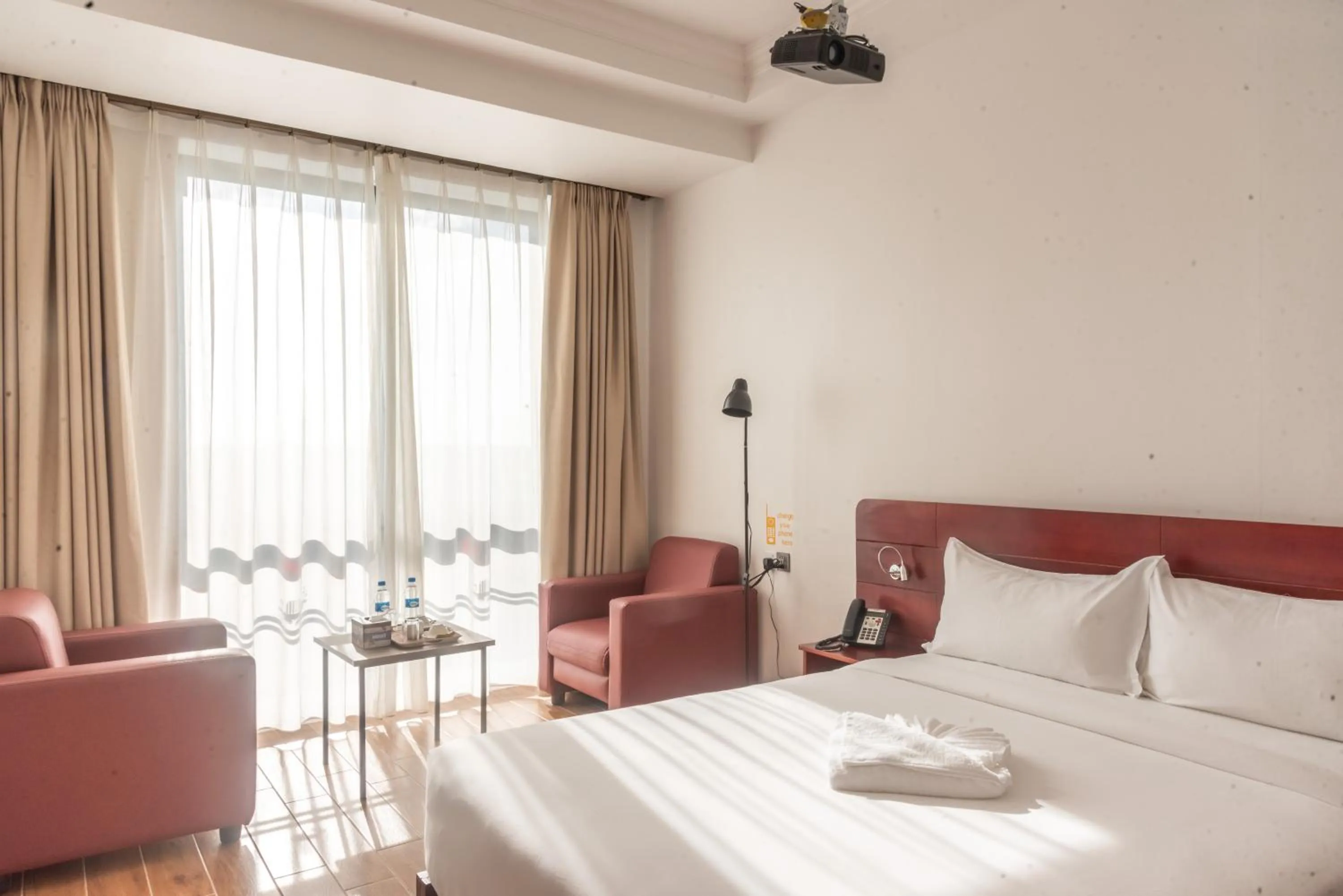 Photo of the whole room in Pauraque Soho Hotel