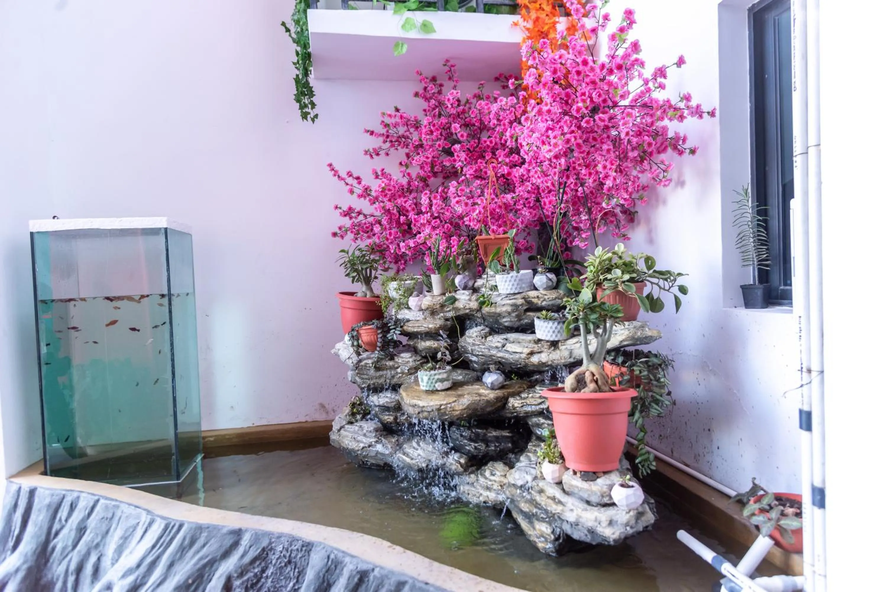 Garden in Pauraque Soho Hotel