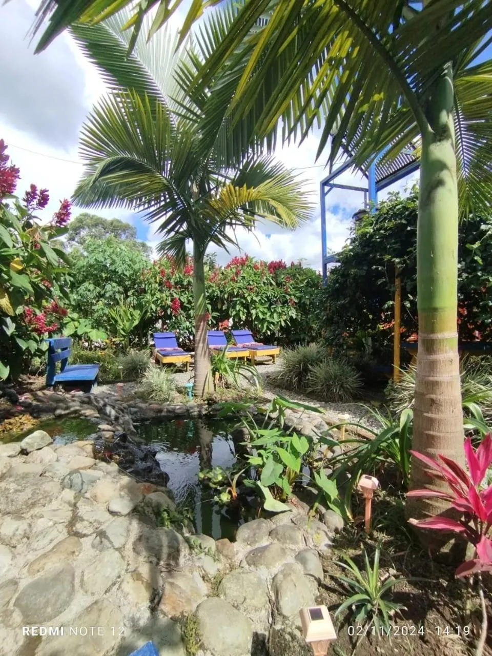 View (from property/room) in Finca San Miguel Filandia