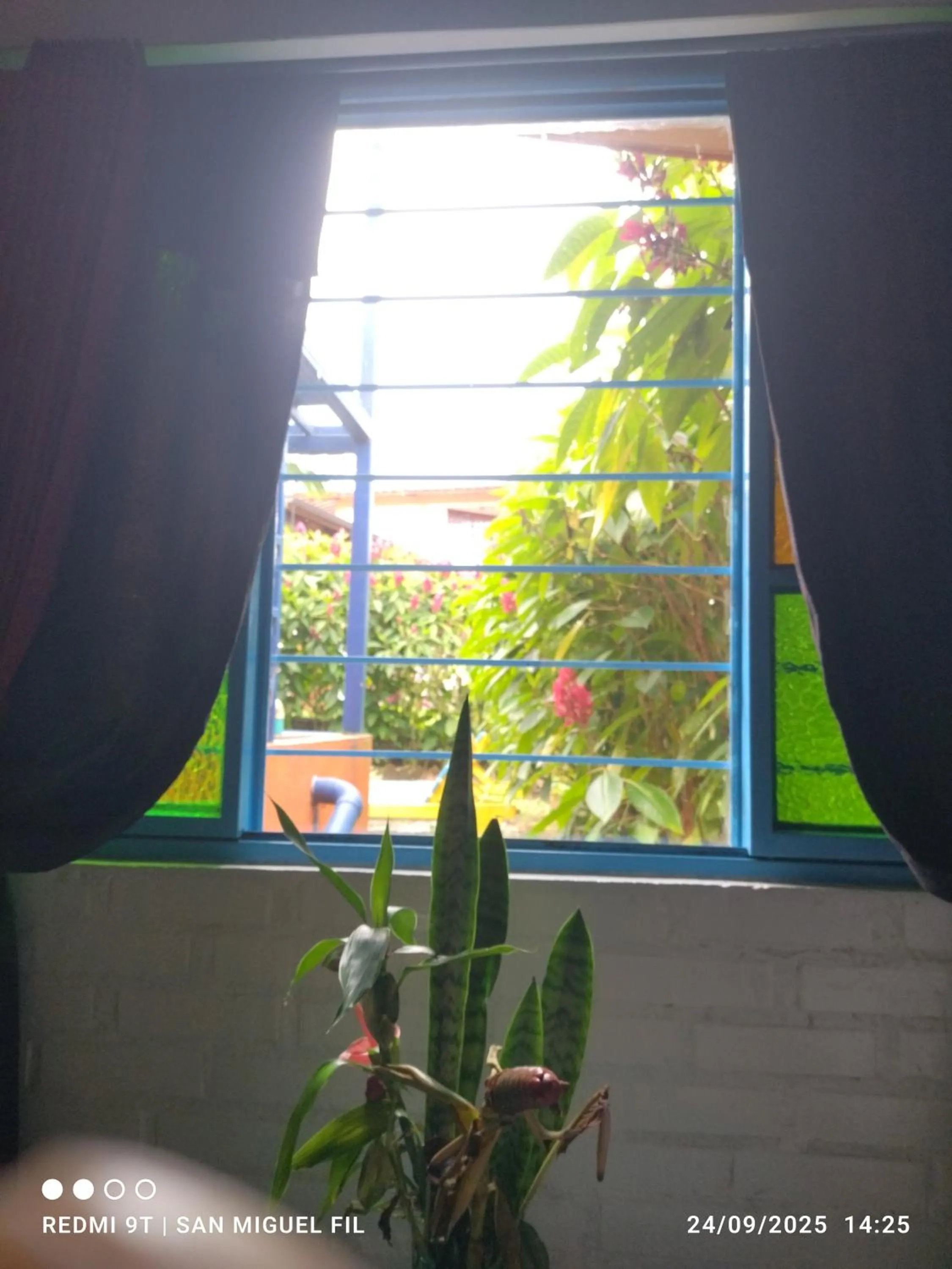 Inner courtyard view in Finca San Miguel Filandia