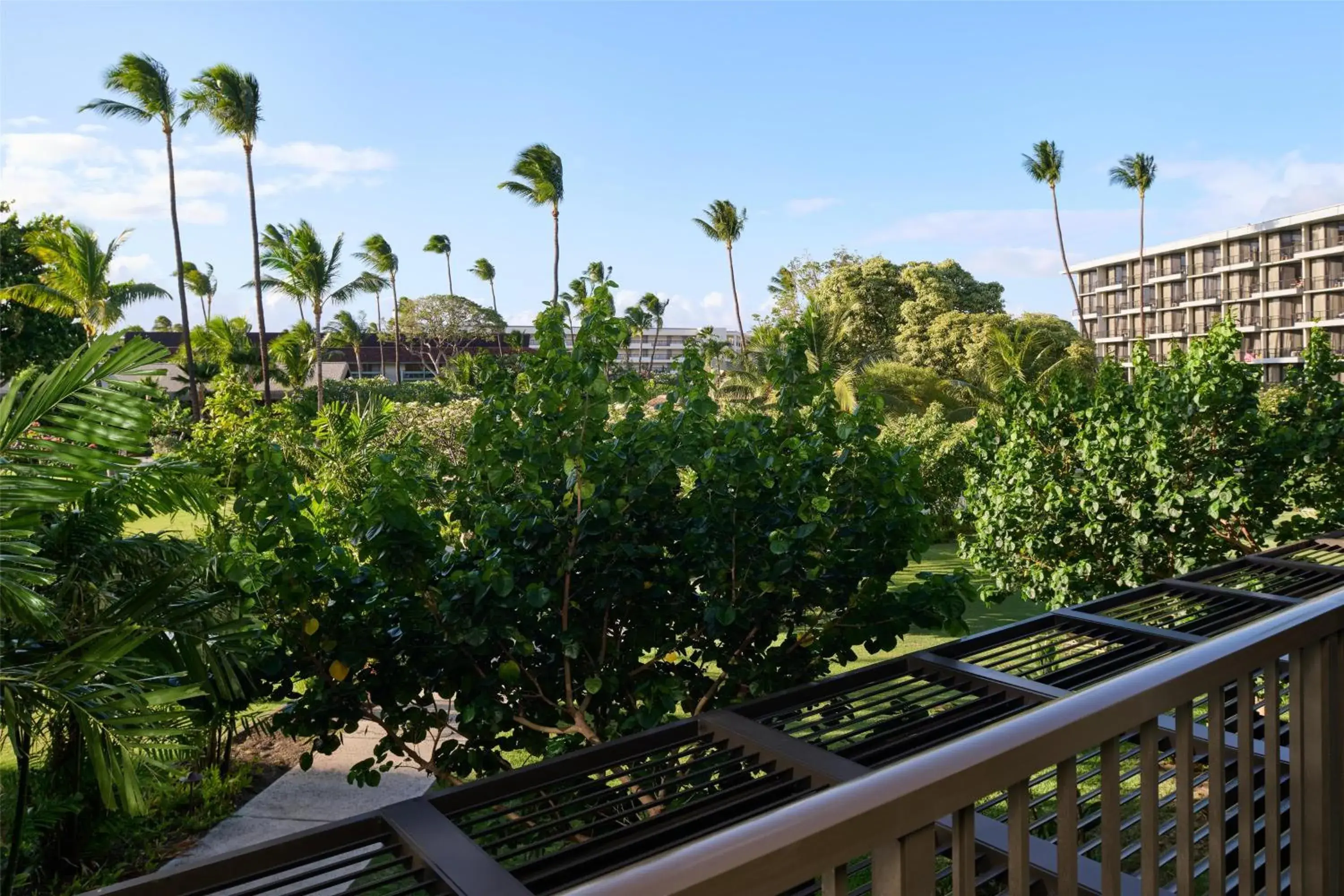 View (from property/room) in OUTRIGGER Kāʻanapali Beach Resort View (from property/room) in OUTRIGGER Kāʻanapali Beach Resort