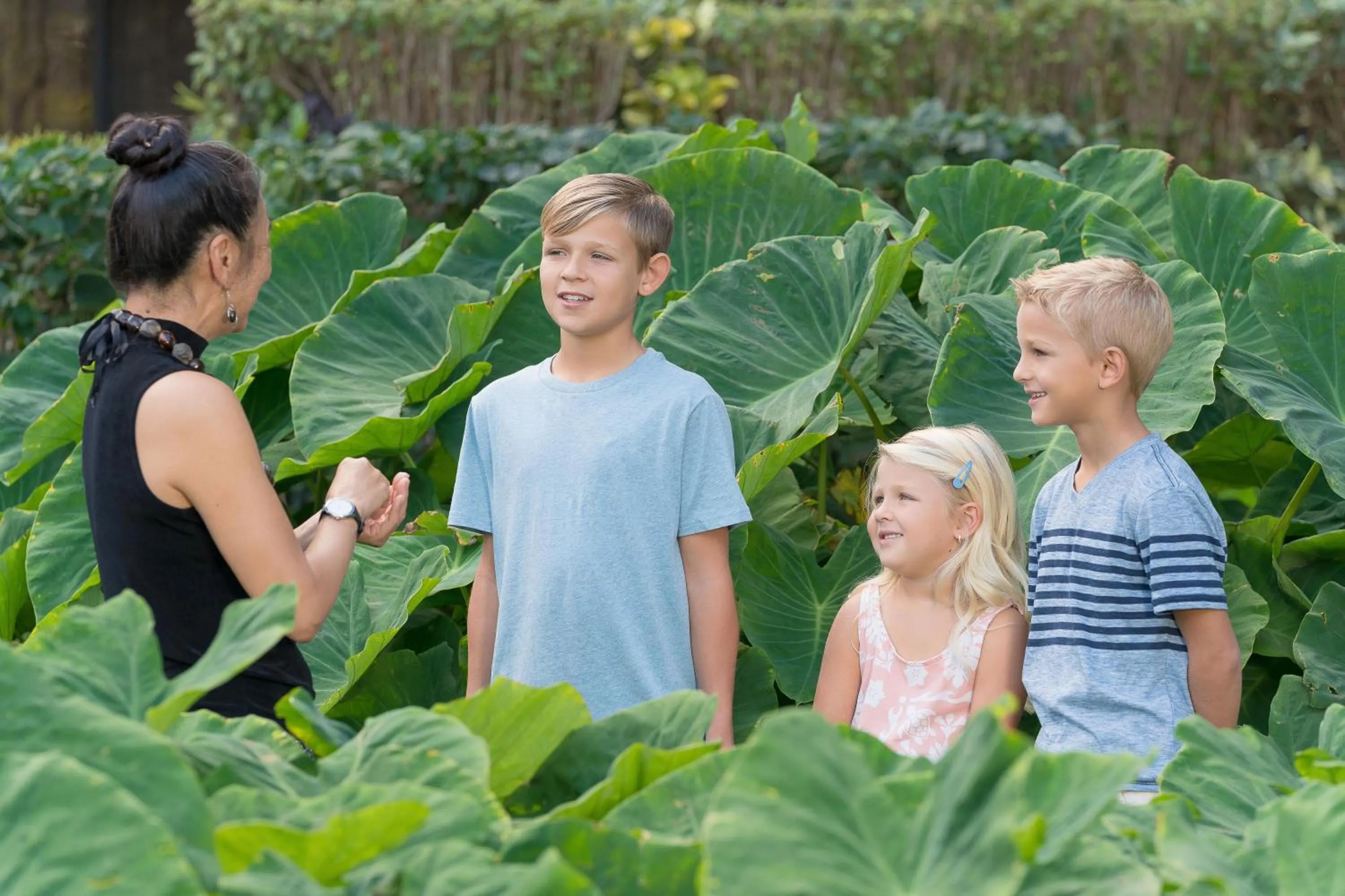 Activities in OUTRIGGER Kāʻanapali Beach Resort